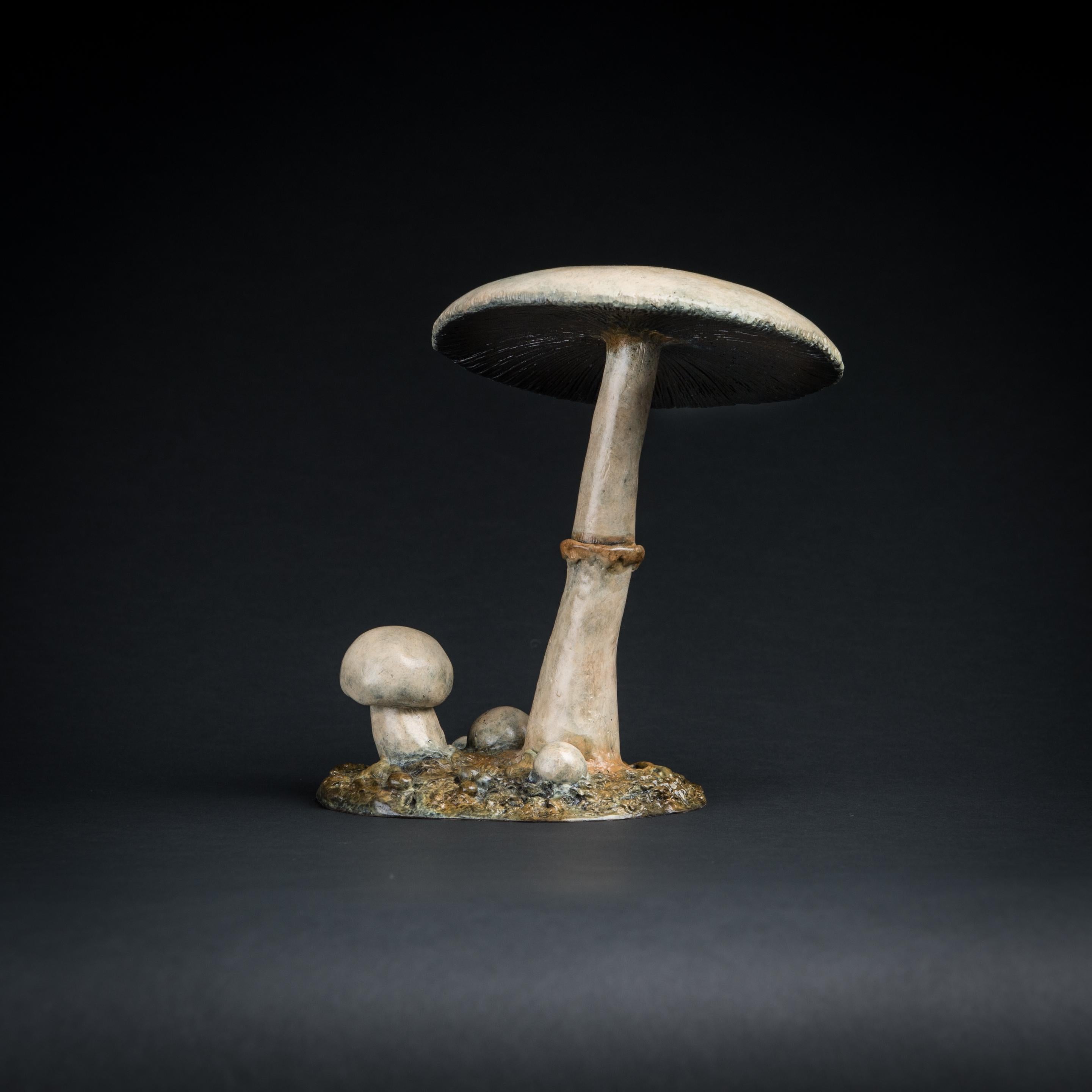 'Horse Mushroom' Contemporary desktop Bronze sculpture of mushrooms, white cream - White Still-Life Sculpture by Richard Smith b.1955