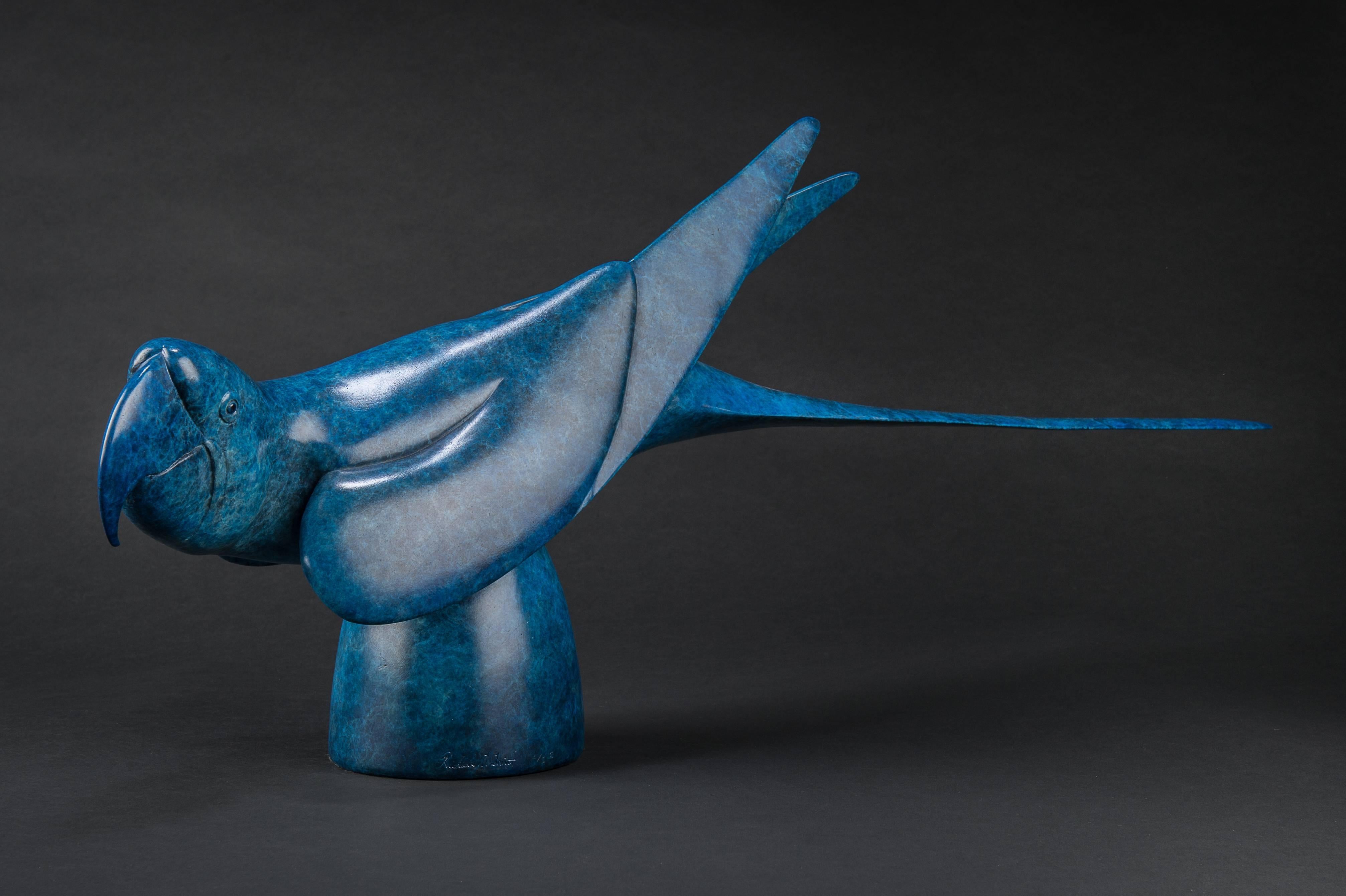 Sculpture d'oiseau exotique Macaw en bronze massif à patine bleu électrique vibrante - Contemporain Art par Richard Smith b.1955