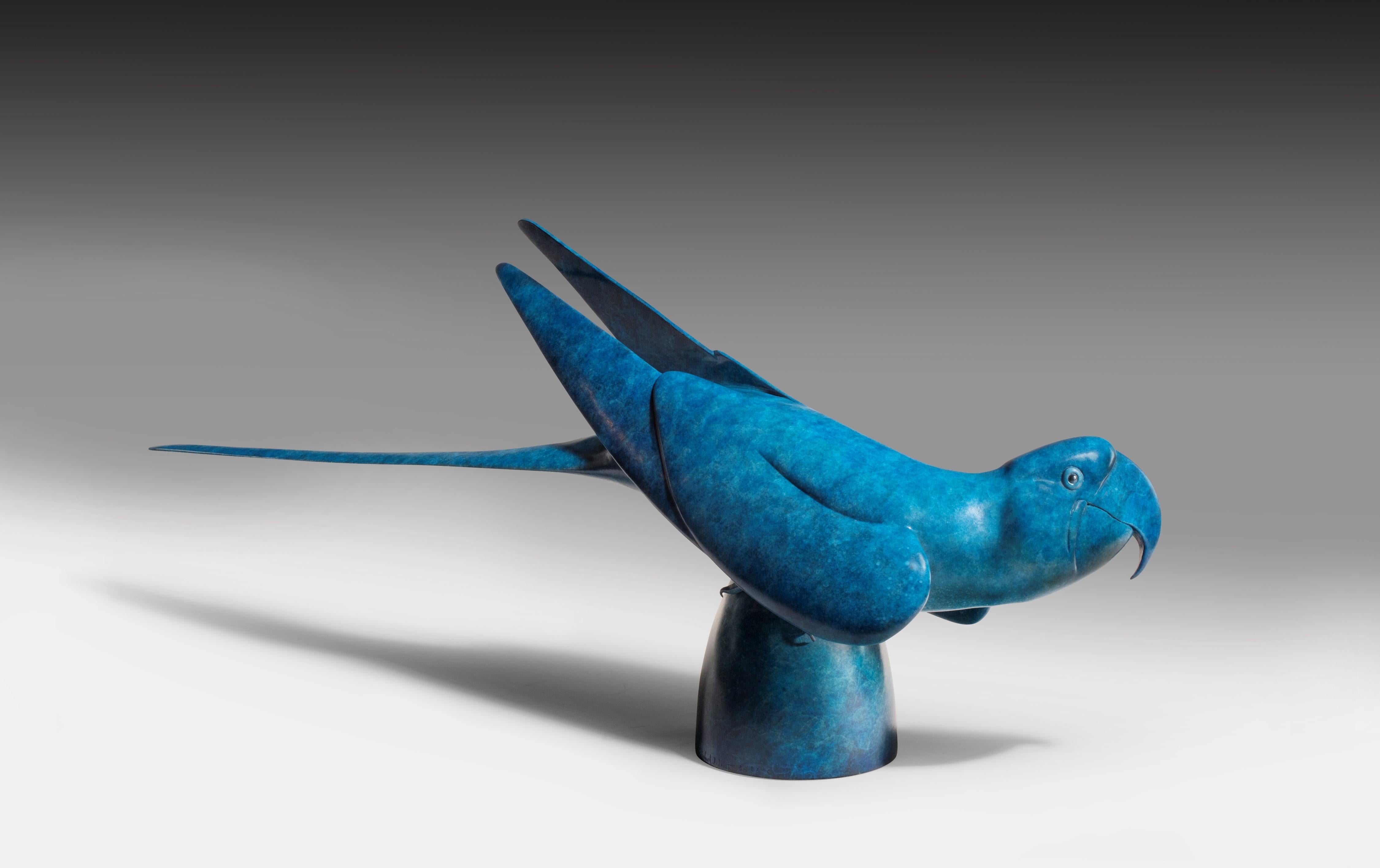 Sculpture d'oiseau exotique Macaw en bronze massif à patine bleu électrique vibrante - Art de Richard Smith b.1955