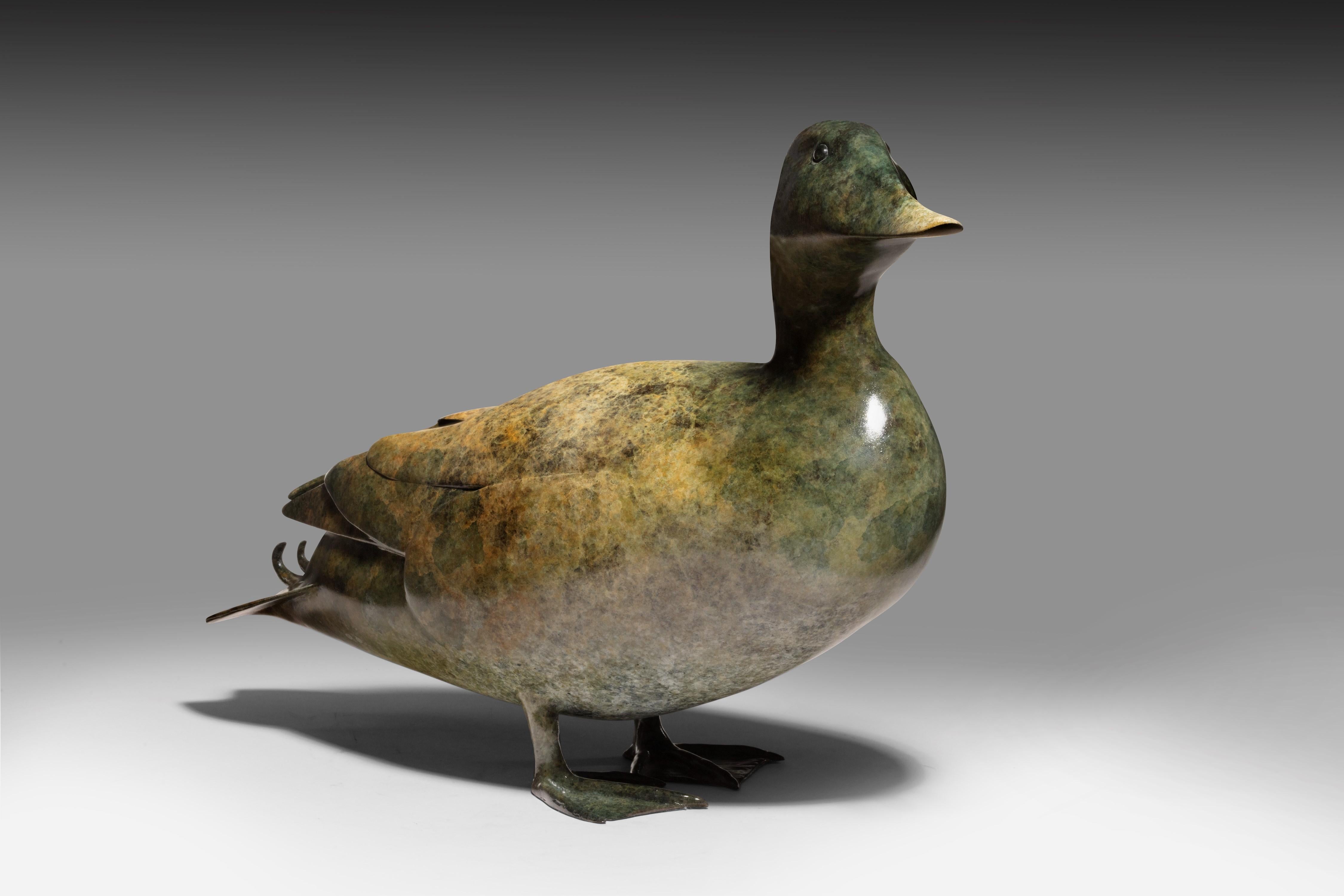 Richard Smith b.1955 Figurative Sculpture - 'Mallard' Contemporary Bronze Sculpture of a Duck, Green Wildlife & Nature 
