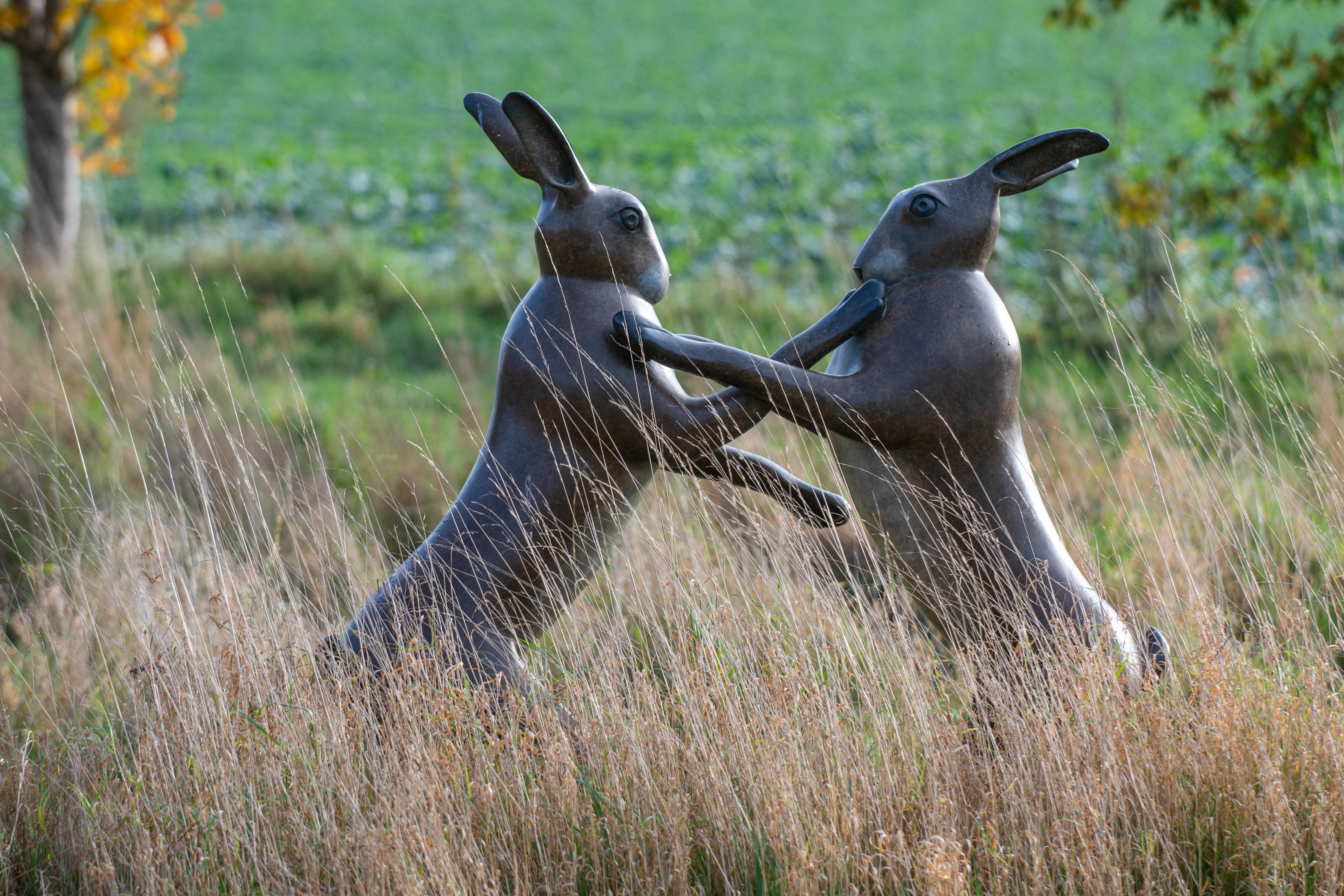 'Mojo Fun' Large outdoor Bronze sculpture of boxing hares, amazing brown patina - Sculpture by Richard Smith b.1955