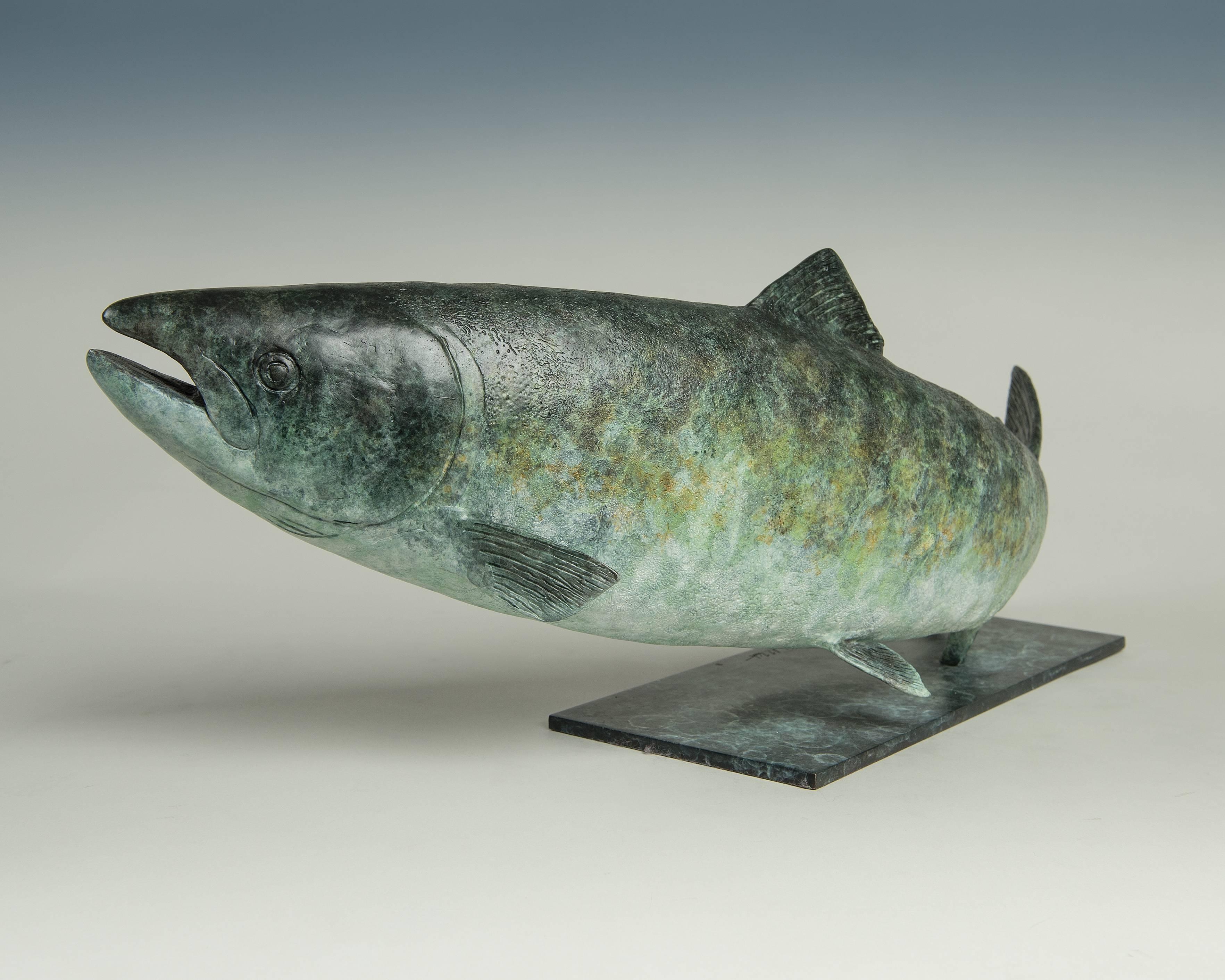 Scultura contemporanea in bronzo 'Salmon', Pesce Modern British Wildlife & Nature - Sculpture di Richard Smith b.1955