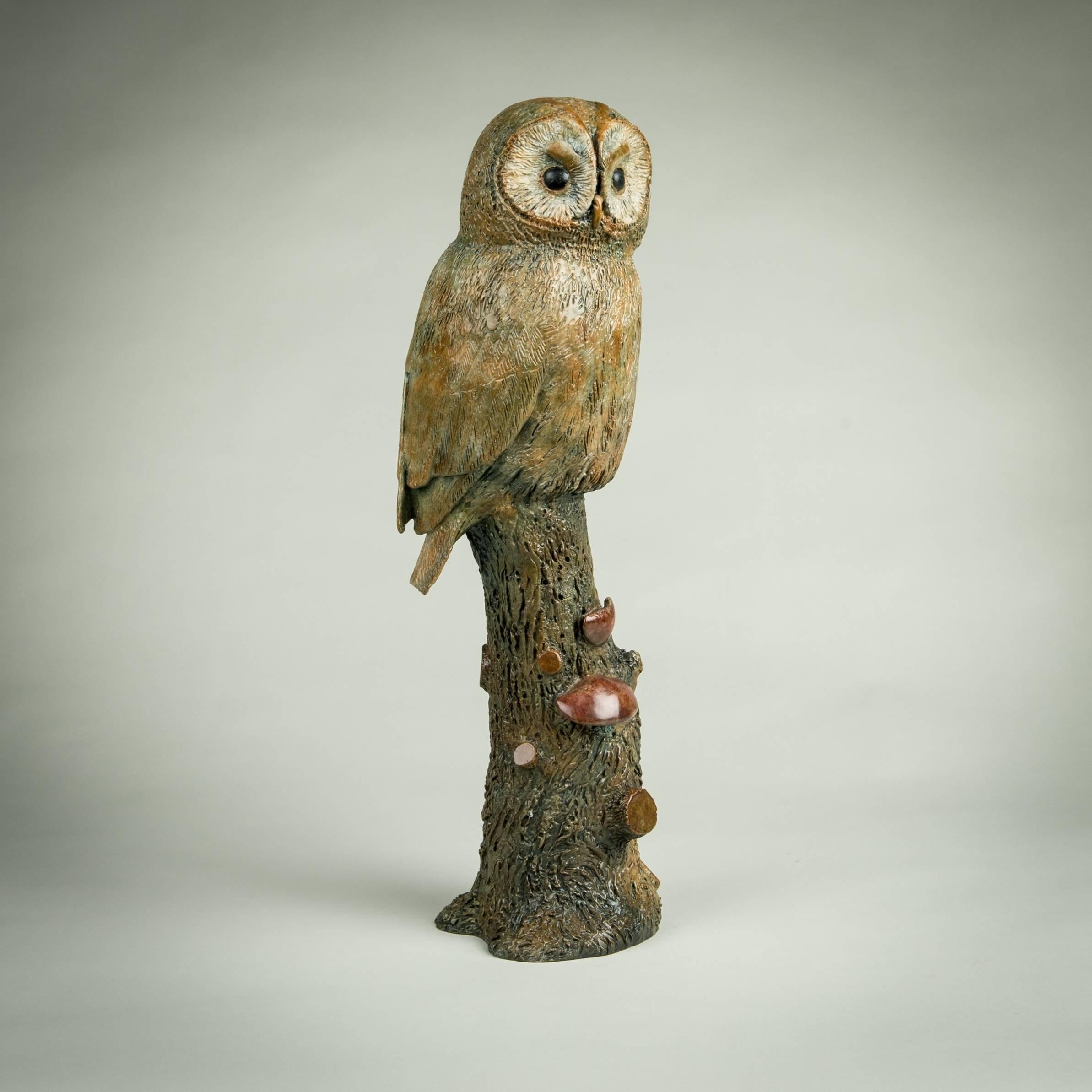 Massivbronze-Skulptur „Tawny Owl“ von Richard Smith, Wildleben und Natur (Zeitgenössisch), Sculpture, von Richard Smith b.1955