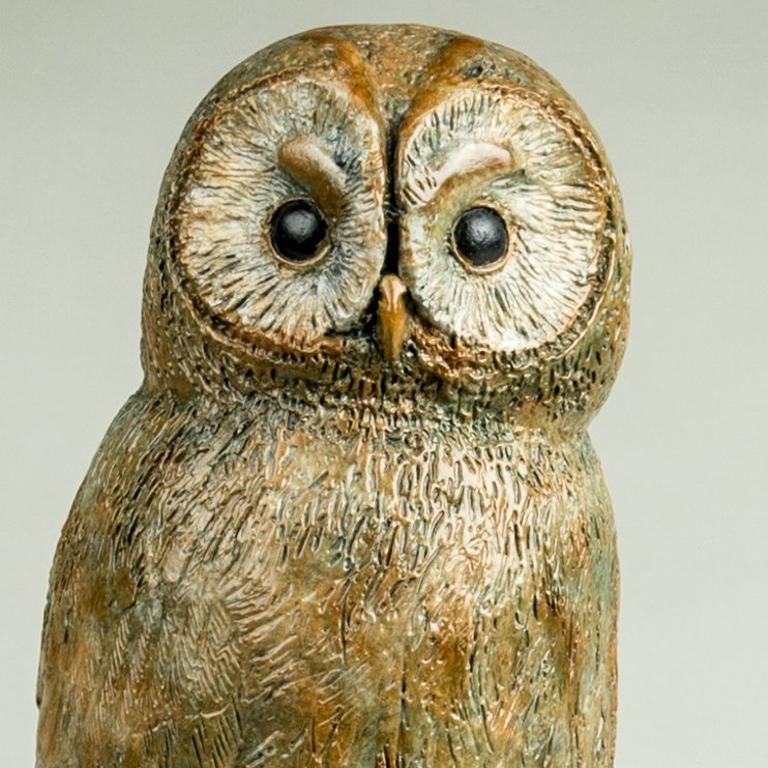 tawny Owl
