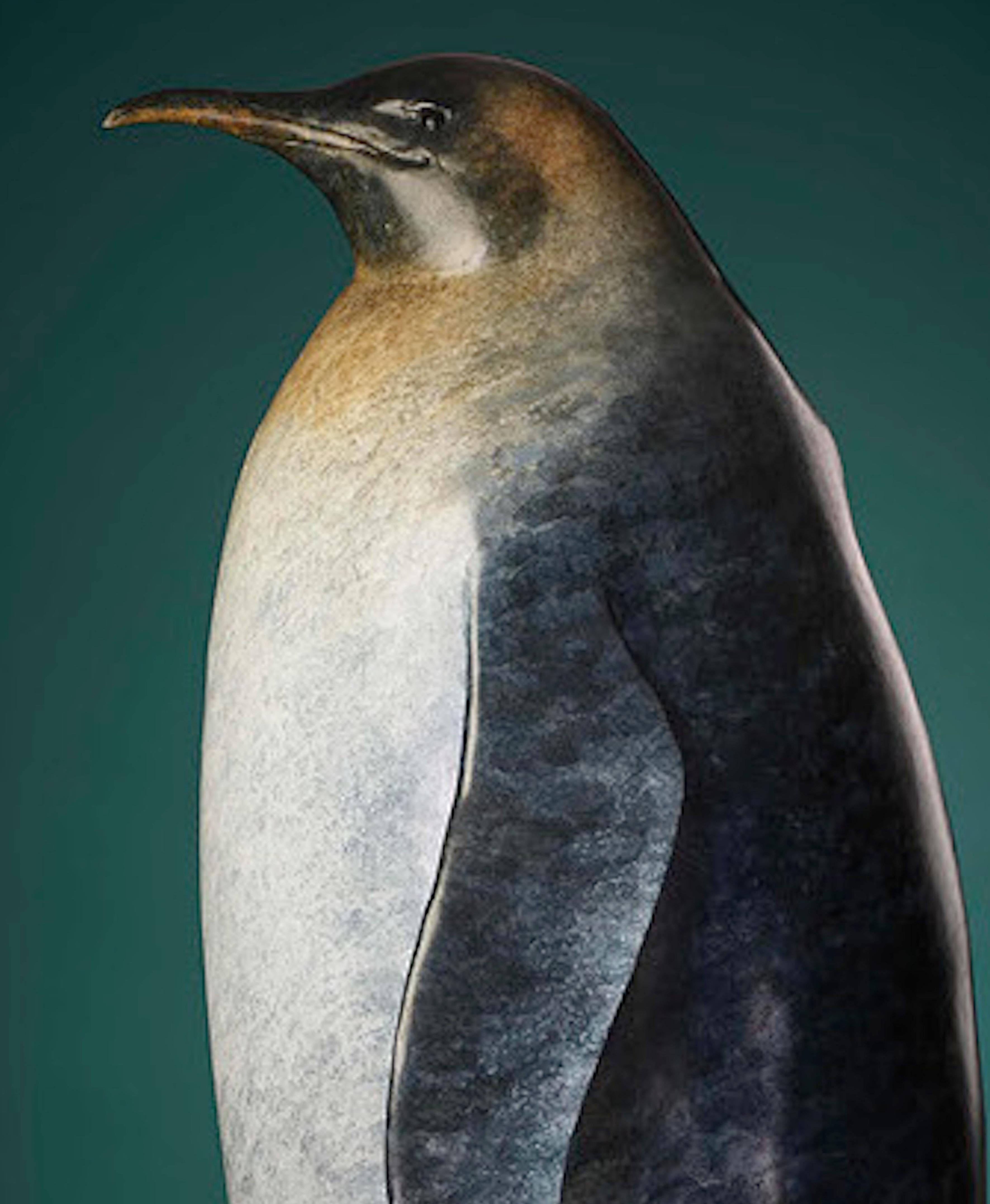 'The Emperor' is a life-size sculpture of the Emperor Penguin, a Bronze so full of character you might not believe it is solid Bronze!  Richard Smith conveys so much personality with such simple lines, exemplifying a truly wonderful talent. The