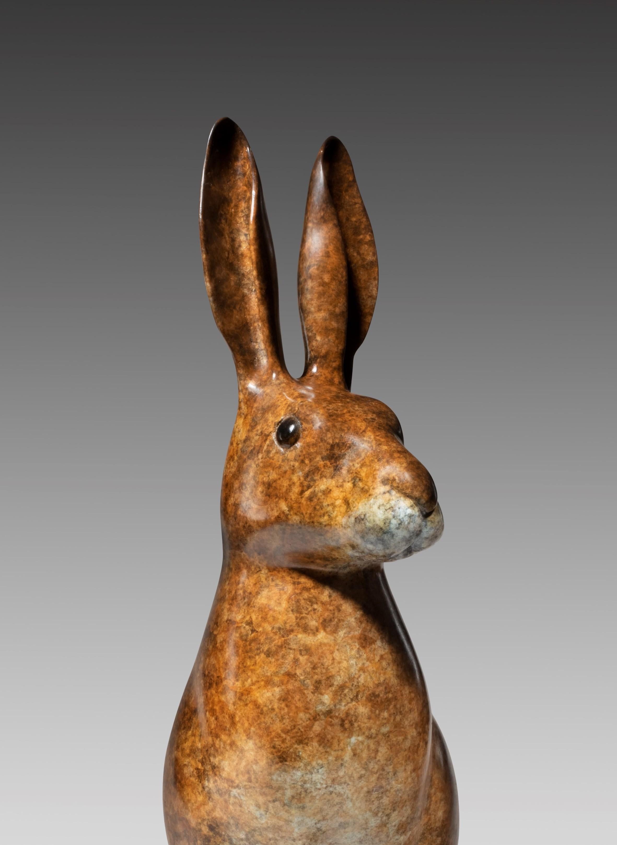 What Me? Contemporary Bronze Sculpture of a English Hare, Jack Rabbit, brown For Sale 3