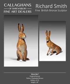 'What me?' Solid Bronze Hare Wildlife & Nature Sculpture by Richard Smith