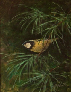 Blue Tit Painting - Mid-Late 20th Century Oil of Bird in Nature by Richard Smith