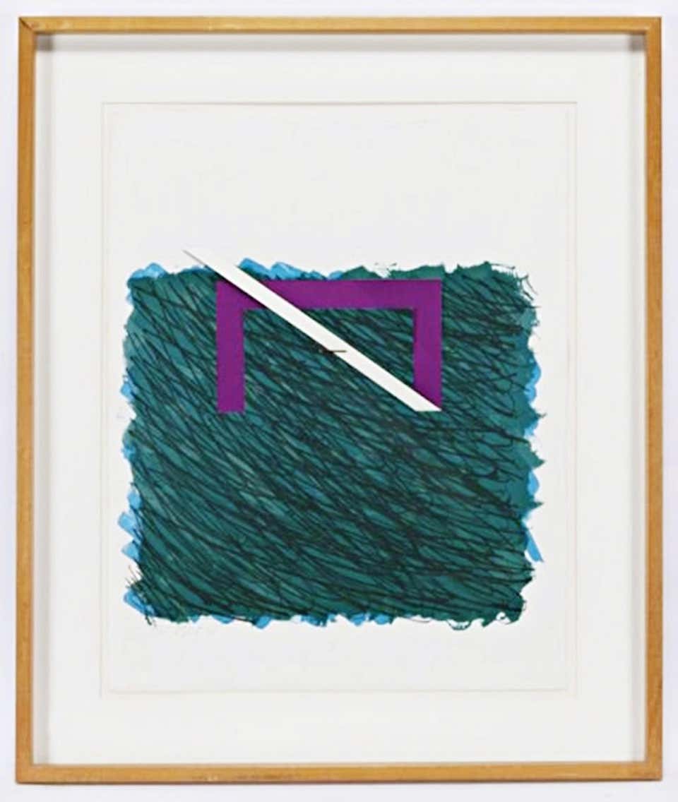 Bramble, 1970 abstract lithograph by British Pop art pioneer Signed/N, Framed