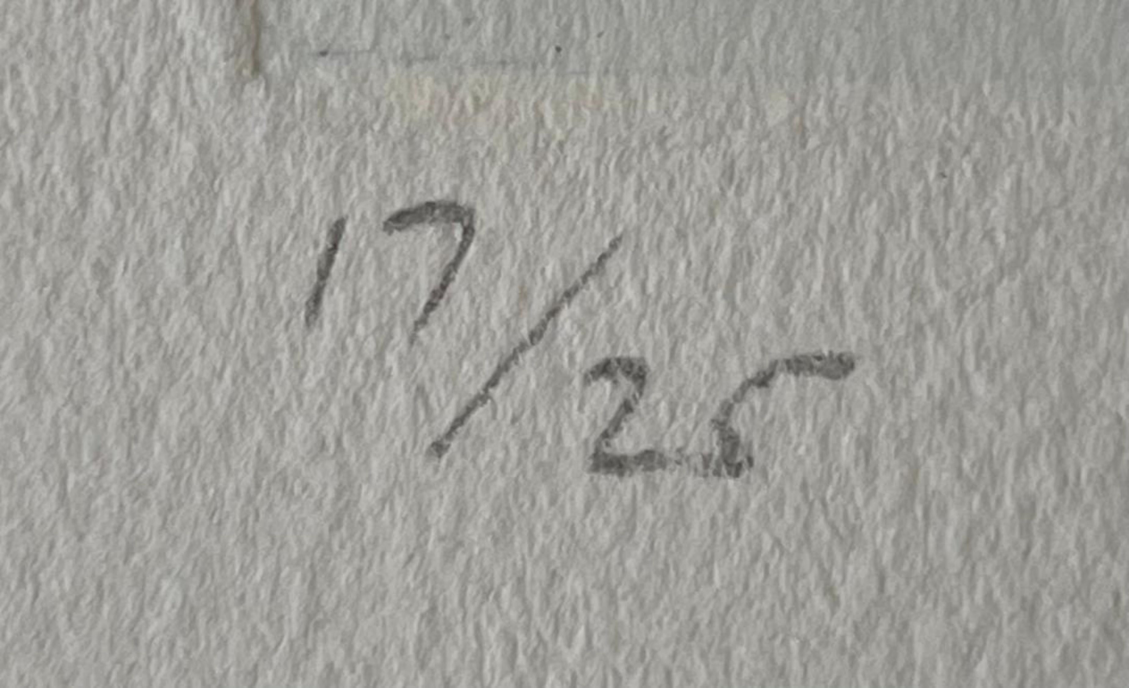Richard Smith
Signature, 1997
Gravure et aquatinte
22 3/4 × 18 pouces
Edition 17/25
Signé et numéroté 17/25 à la mine de plomb sur la partie inférieure du recto