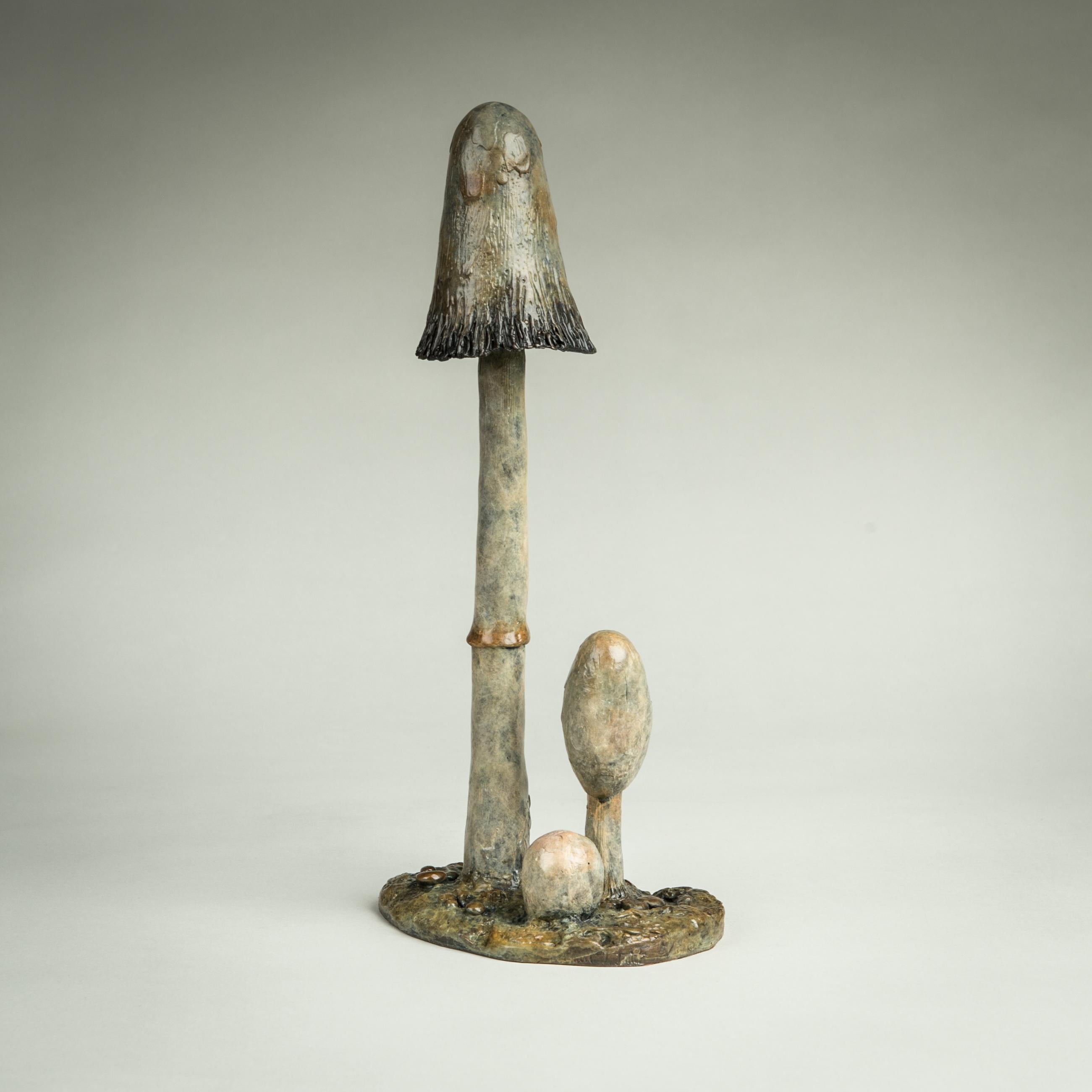 Der 'Shaggy Ink Cap Mushroom' ist eine atemberaubend elegante Bronzeskulptur eines britischen Pilzes in Nature. Die Patina, die Sie sehen, macht dieses Stück so lebensecht, wie man es heute bei Bronze selten sieht. 

Richard Smith arbeitet als