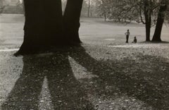 Niños jugando en el parque