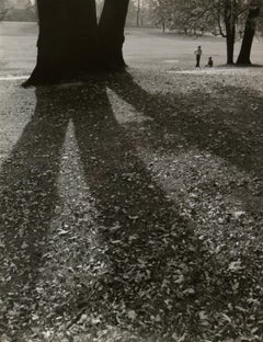 Niños jugando en el parque