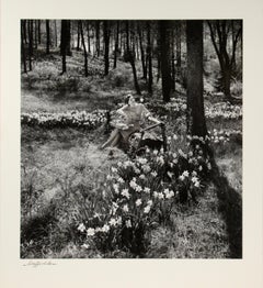 Narciso