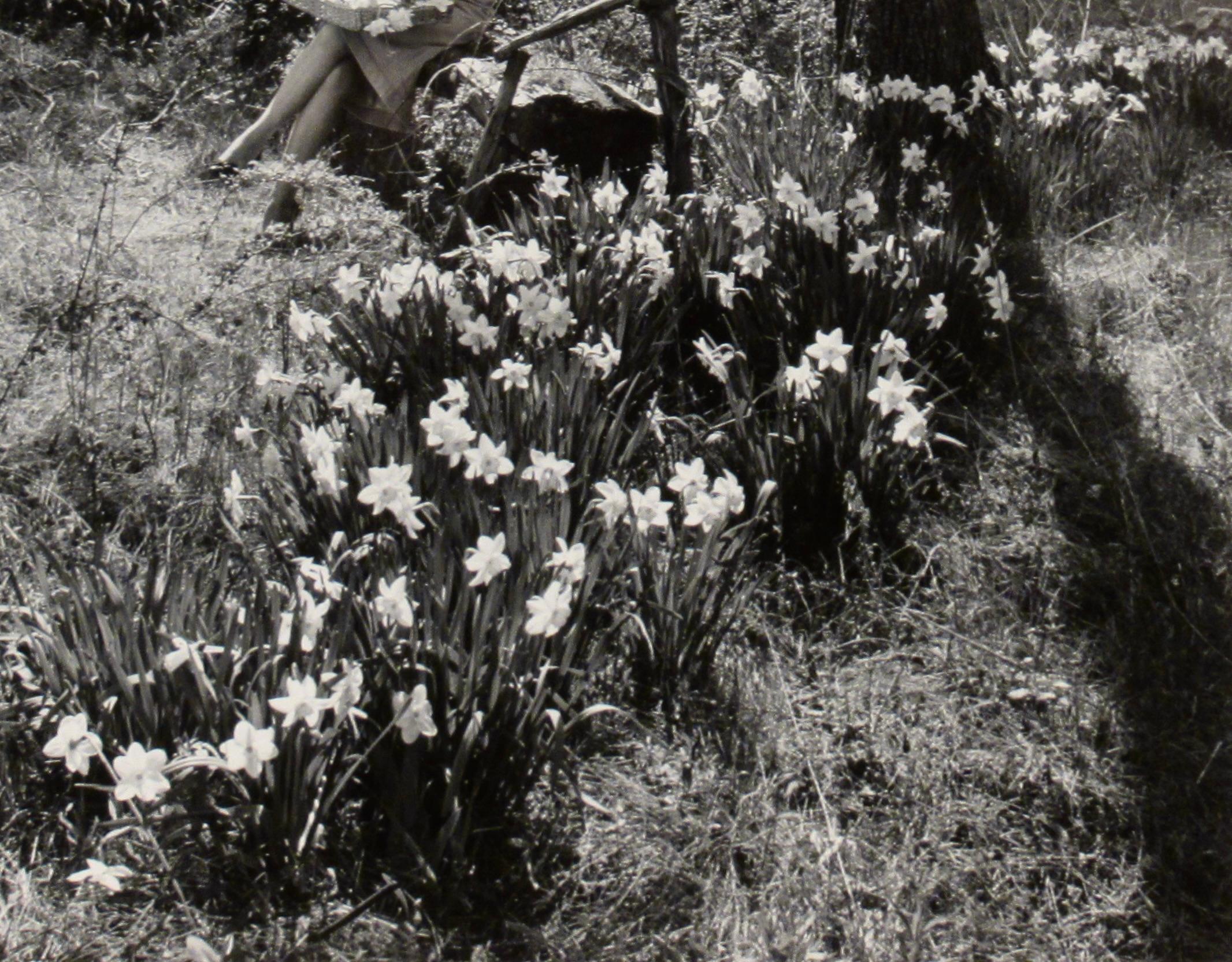 Daffodile - Photorealist Photograph by Richard Stacks