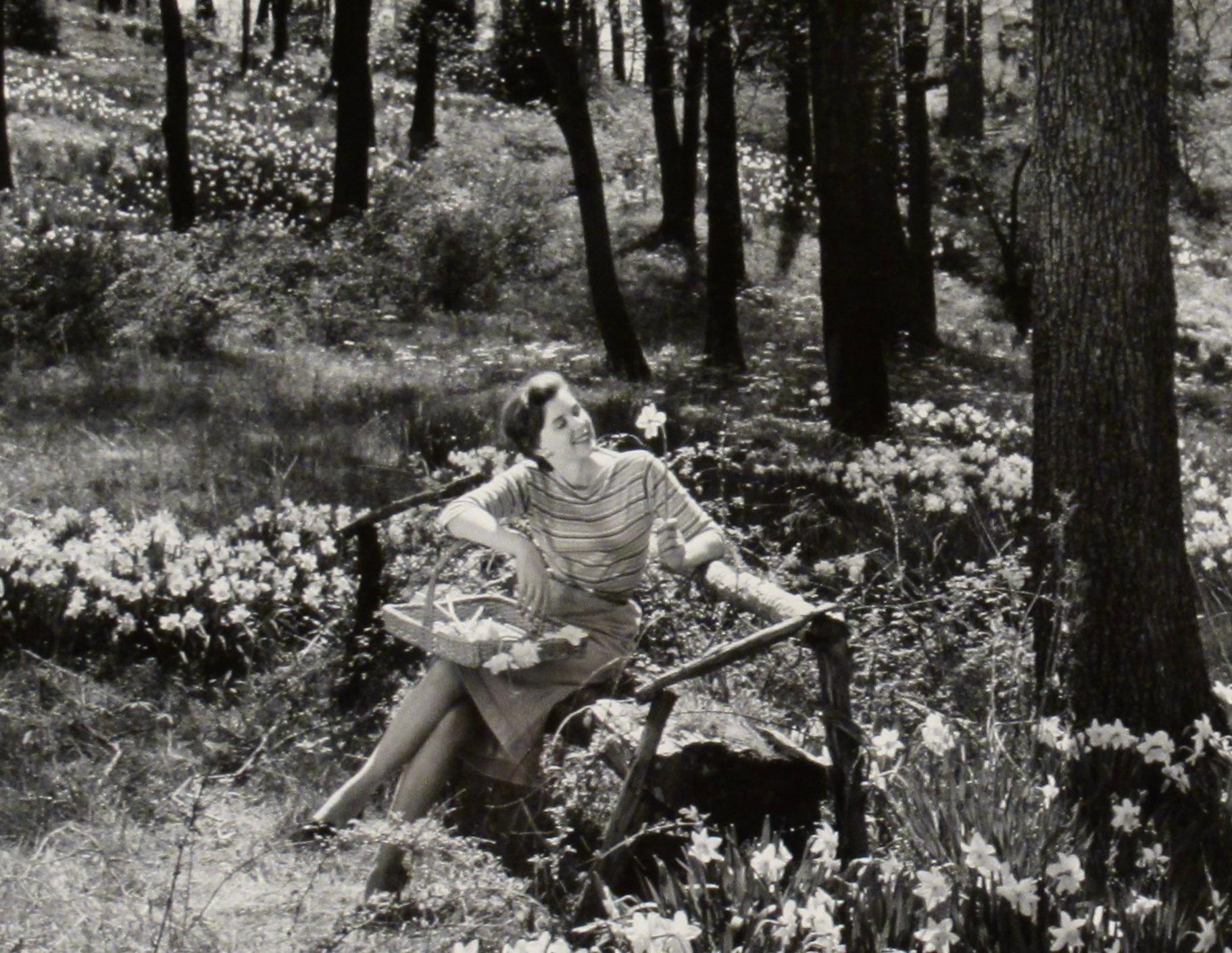 Daffodile - Black Black and White Photograph by Richard Stacks