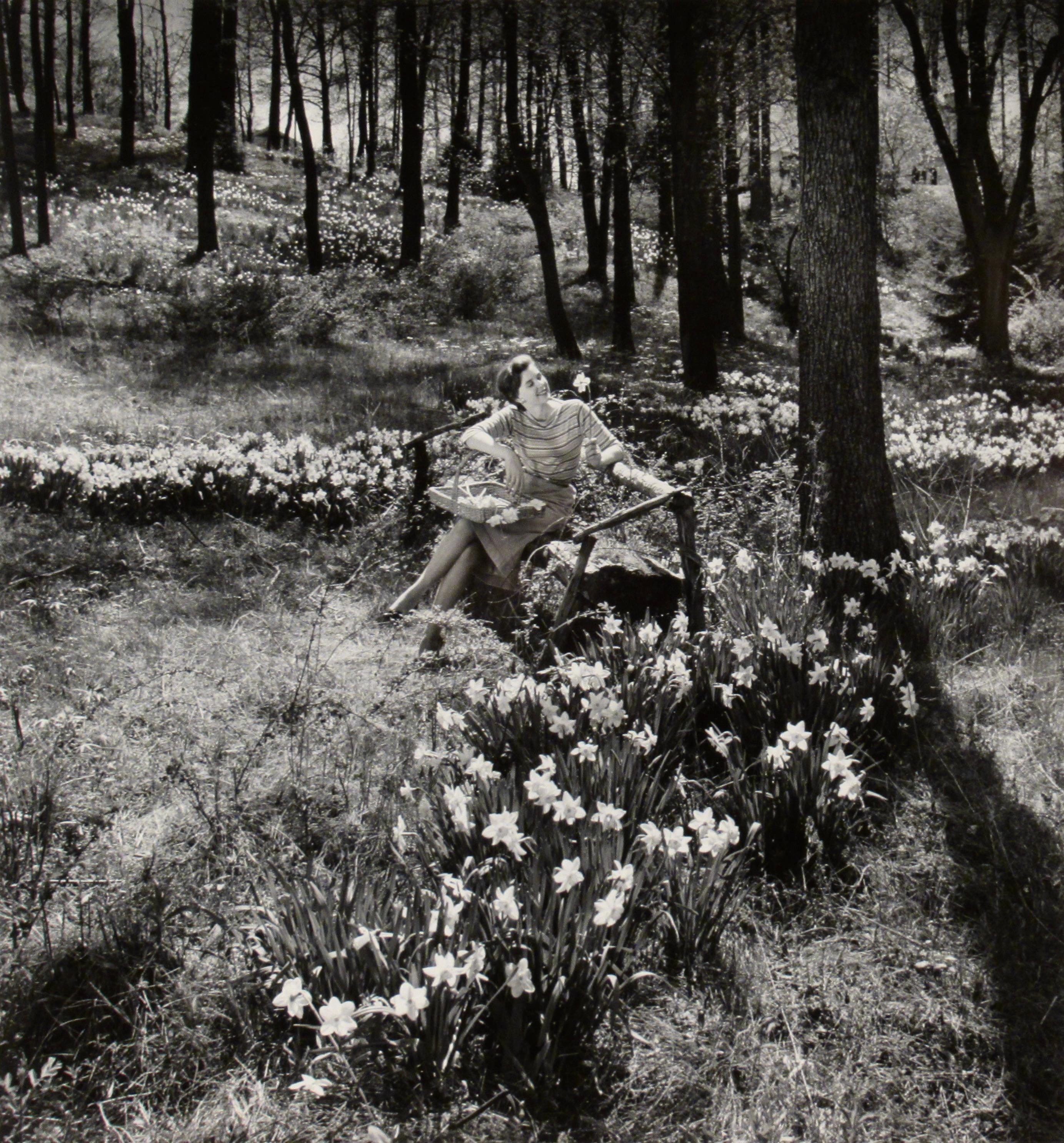 Narciso