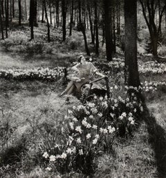 Narciso