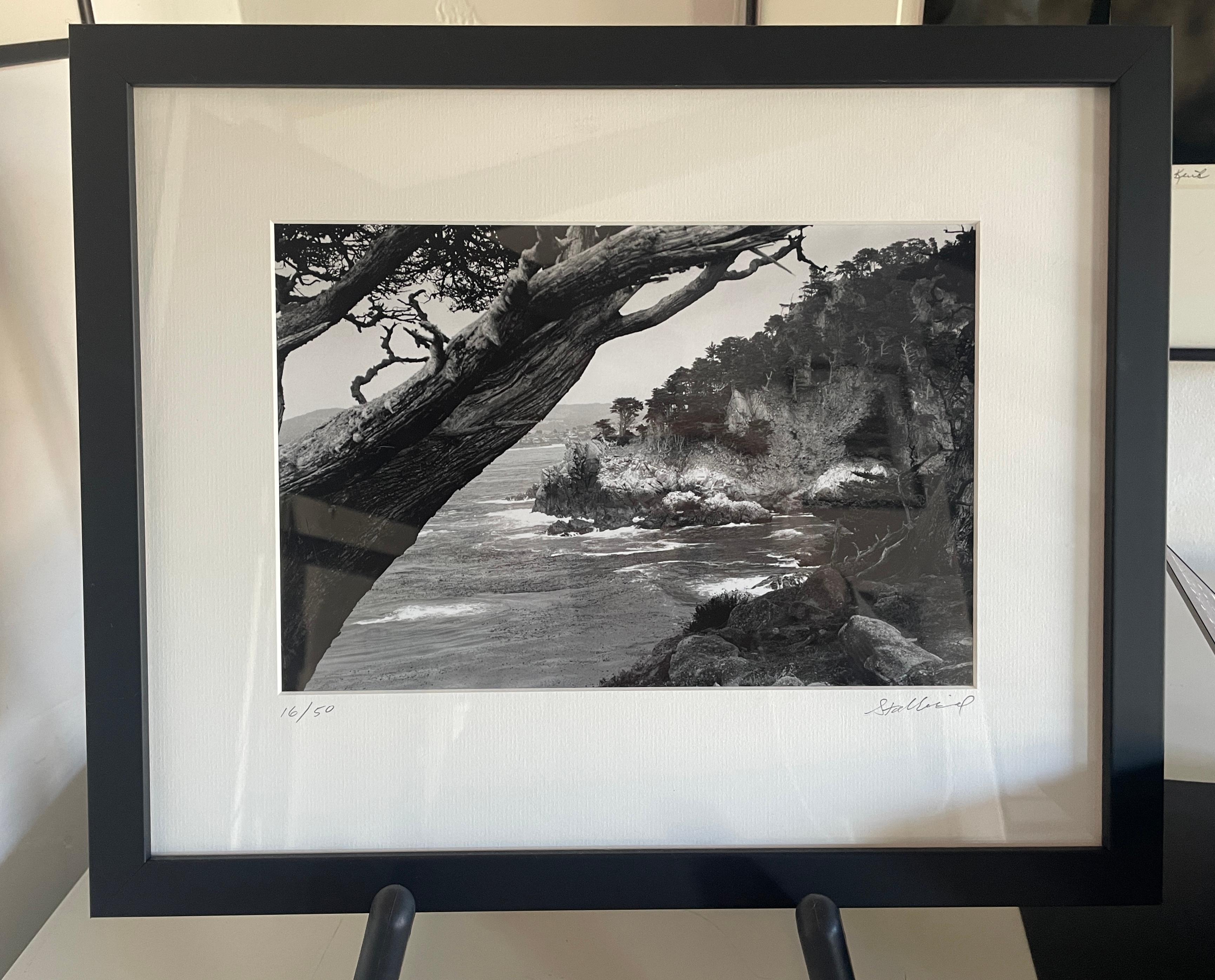 Landscape Photograph de Richard Stalbird - Point Lobos, Carmel California