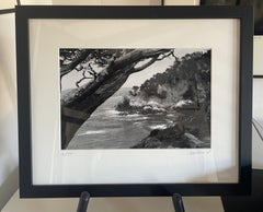 Point Lobos, Carmel California