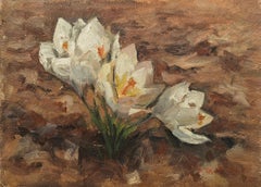 "Crocus blancs en fleurs" Richard Stalter, Fleurs blanches et jaunes, Impression