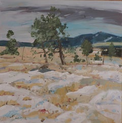 Castlewood Canyon Park, Painting, Oil on Other