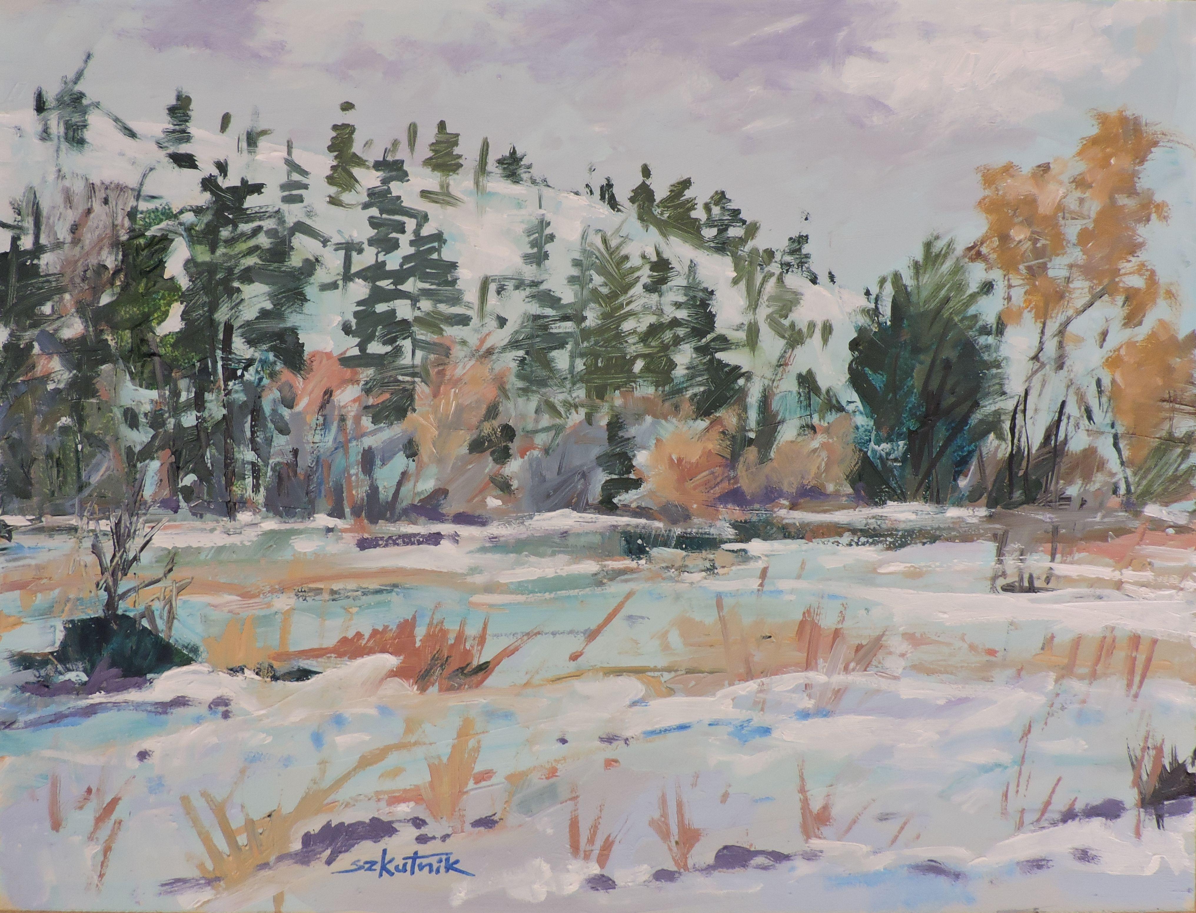 Snowfield, Pittura, Olio su pannello di Wood - Painting di Richard Szkutnik
