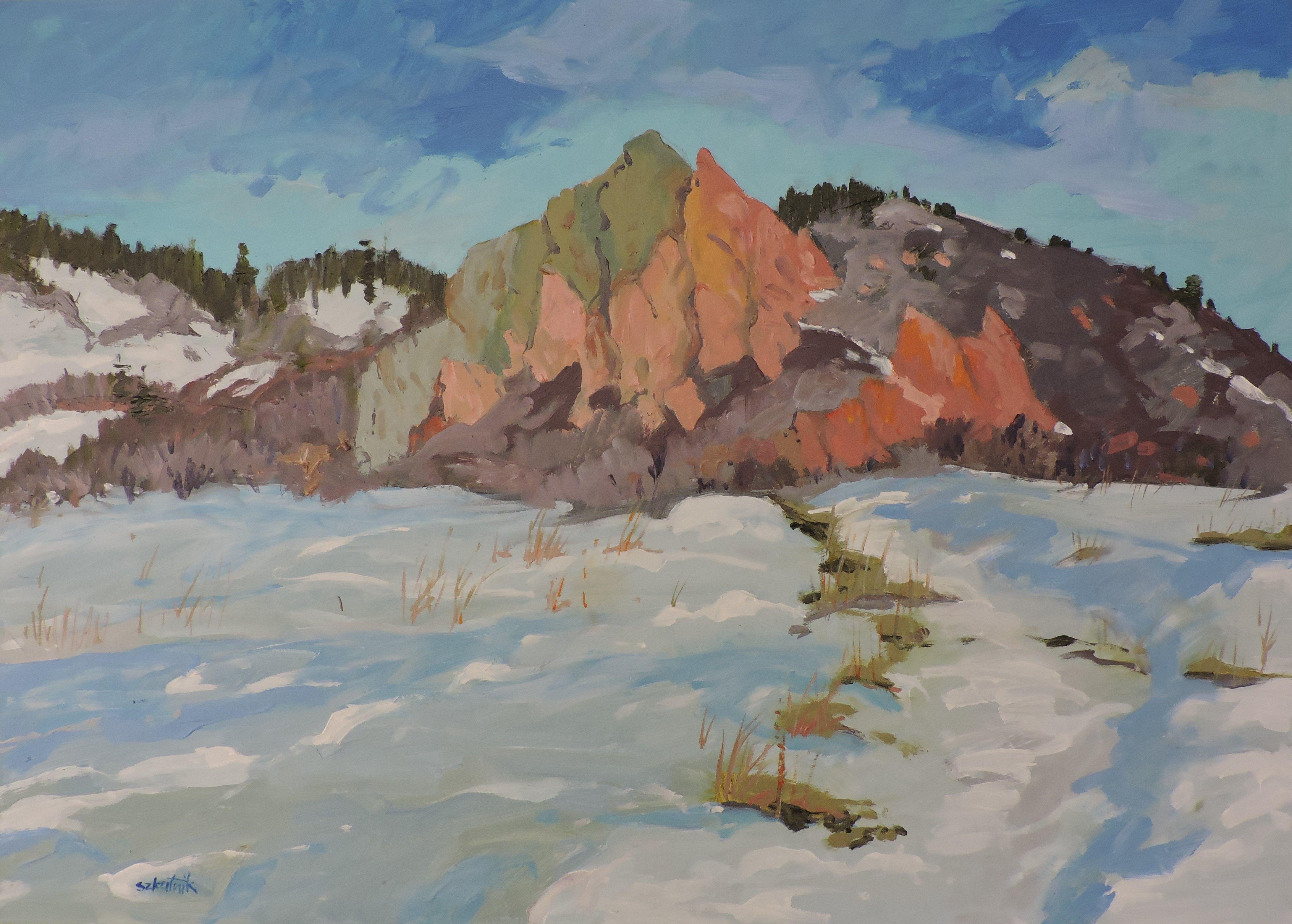 Colore d'inverno, Pittura, Olio su pannello di Wood - Painting di Richard Szkutnik