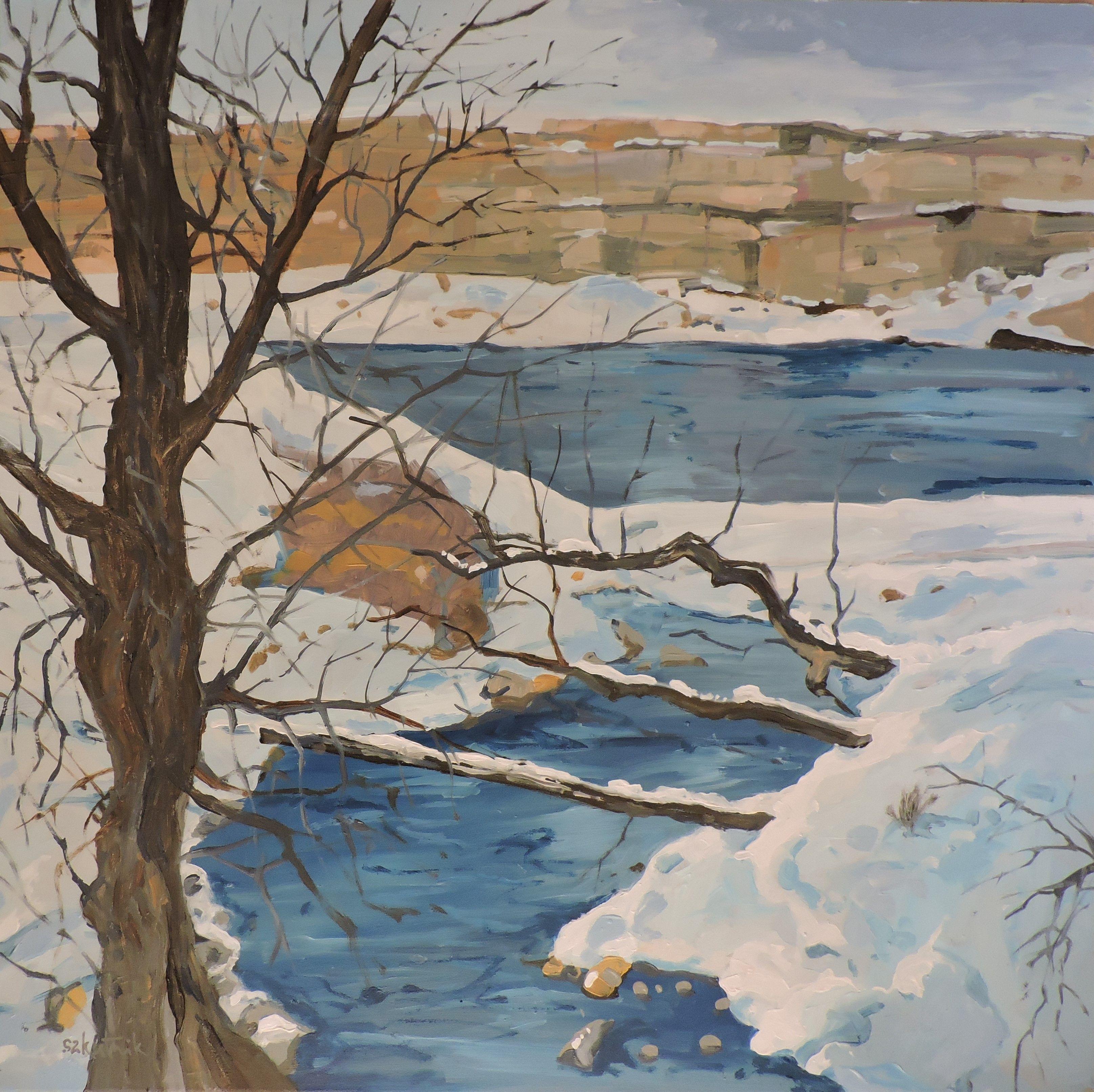 Neve del fiume Yellowstone, Pittura, Olio su altro - Painting di Richard Szkutnik