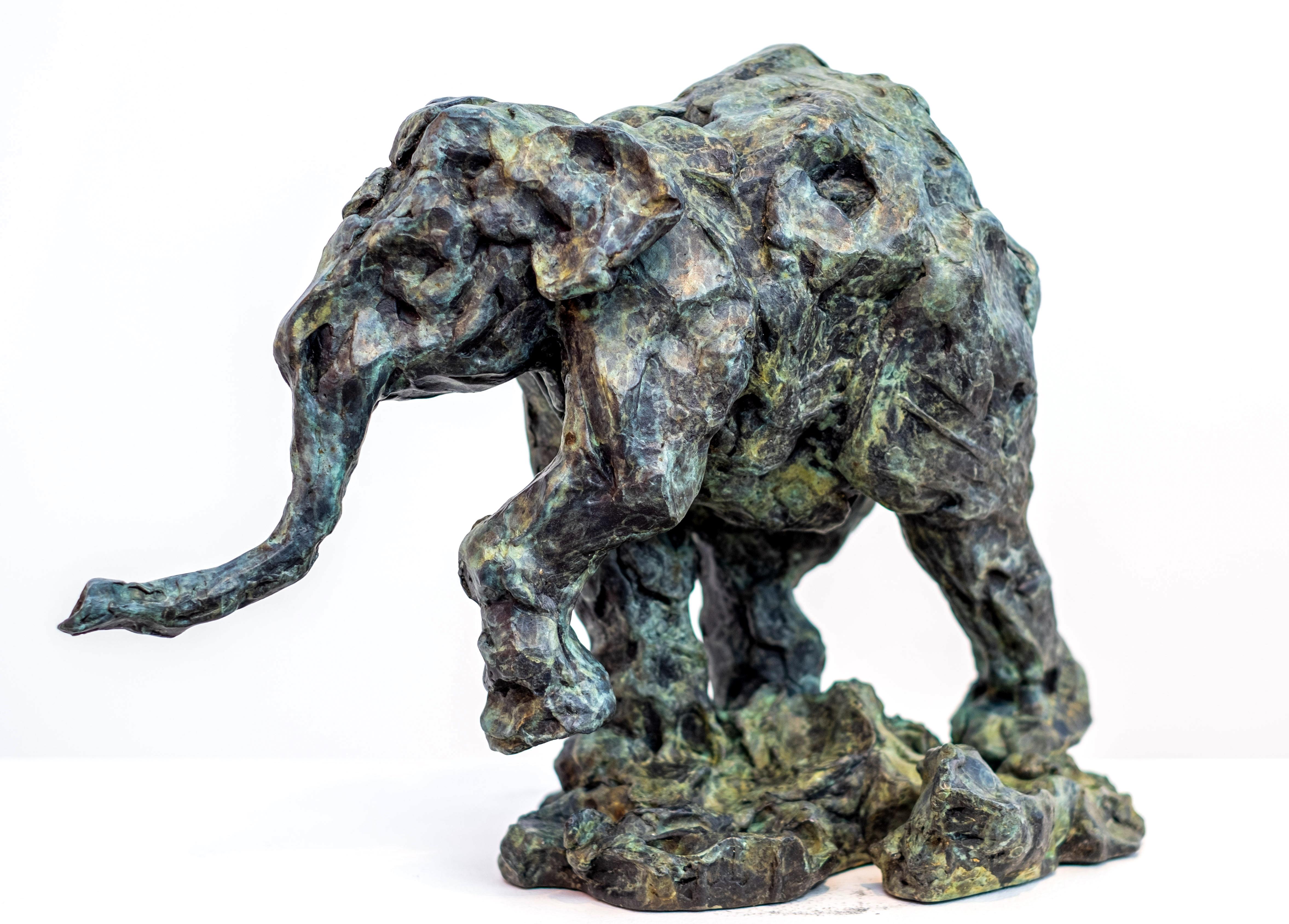 Diese entzückende Bronzeskulptur eines laufenden Elefantenbabys ist stark strukturiert und mit einer eleganten Sepia-Patina versehen. Der kanadische Bildhauer Richard Tosczak beginnt seine Arbeiten mit schnellen Feder- und Tuschestudien, die sich zu