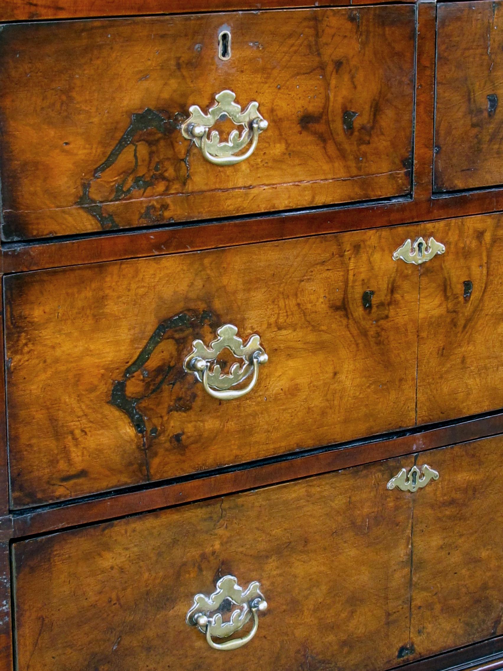 Richly-Colored English George III Style Burl-Walnut Bachelors Chest 1