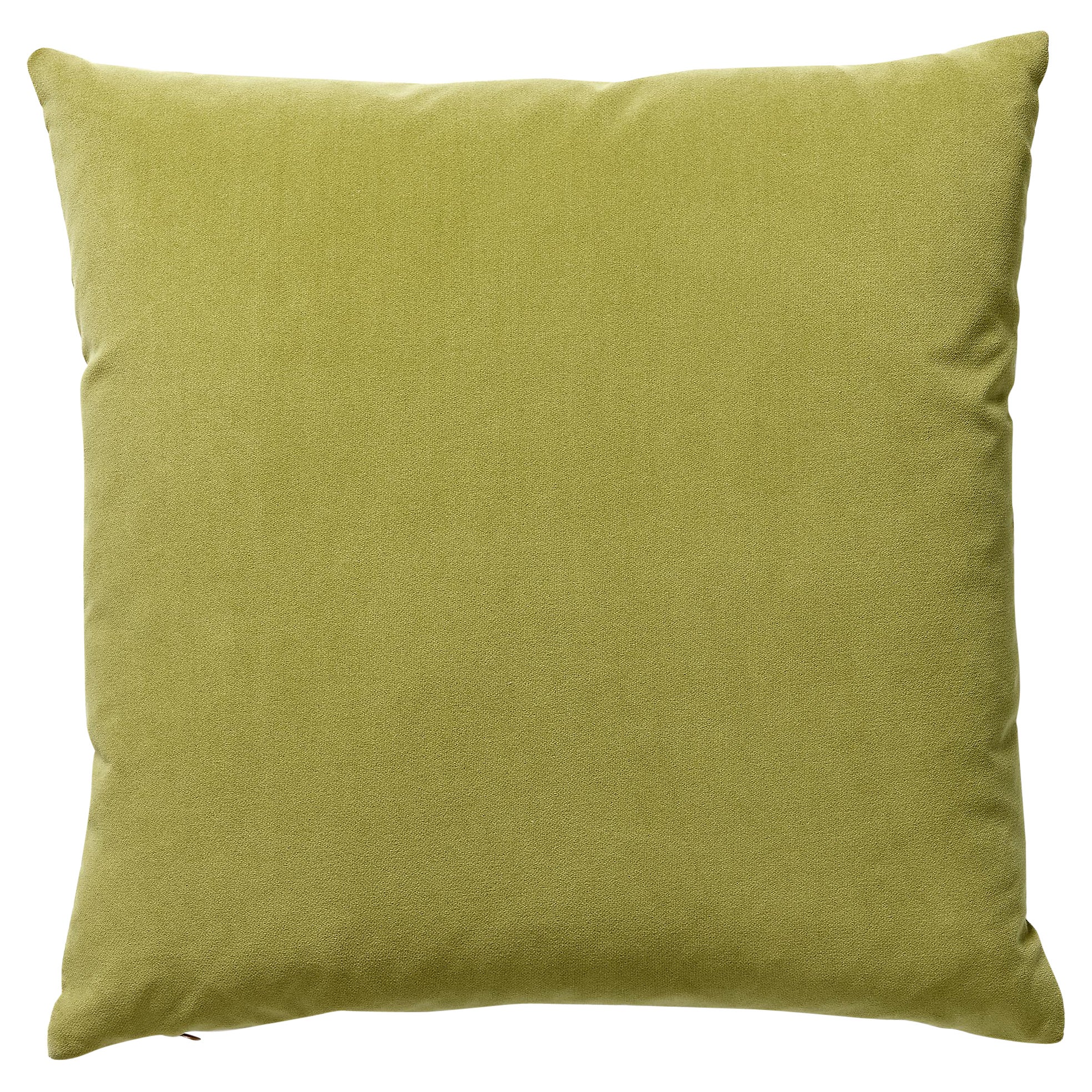Coussin en velours Richmond en vente