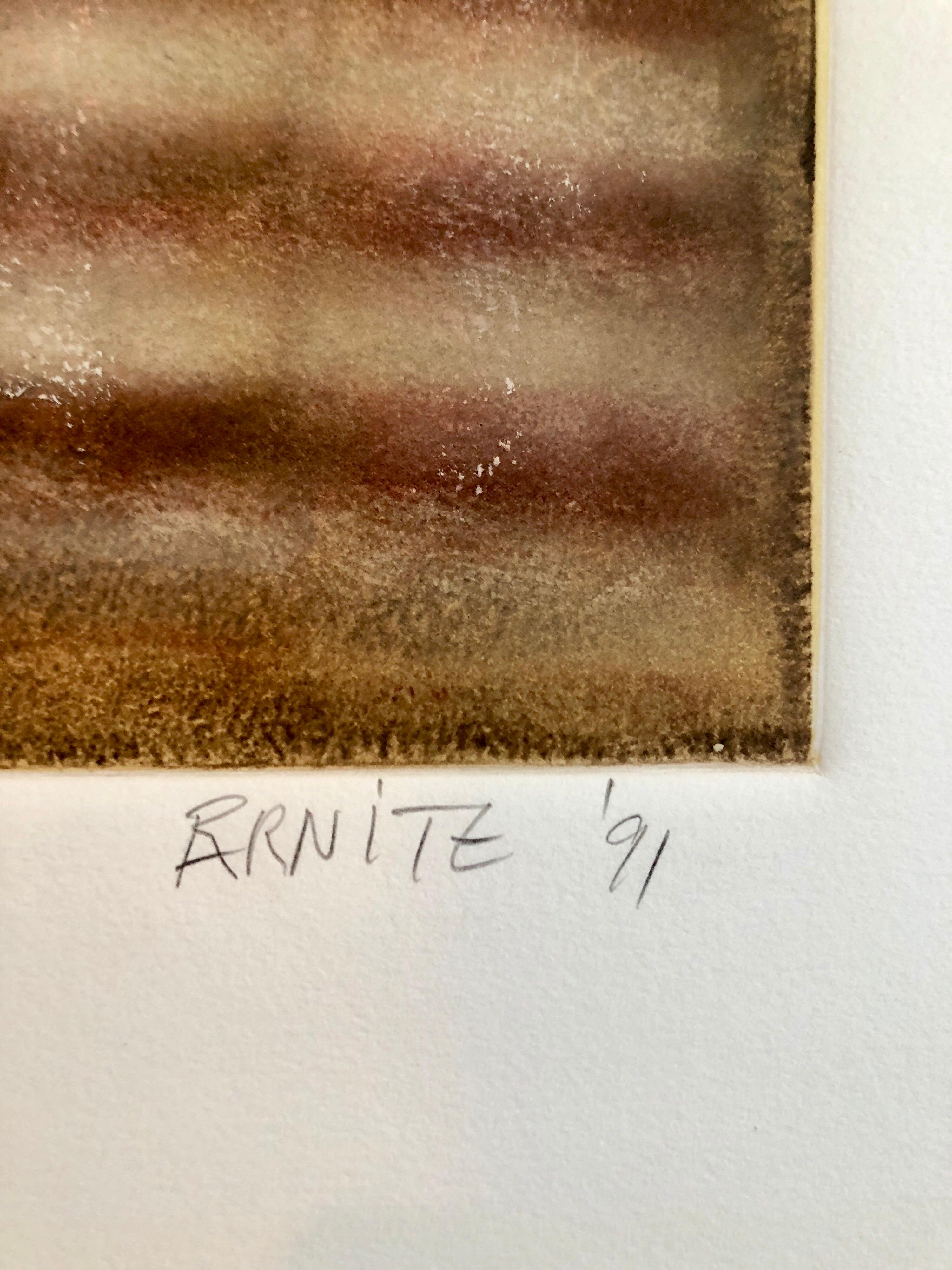 Geboren 1949, St. Louis, Missouri. Abstraktion mit Farbroller
Rick Arnitz' Werke wurden seit 1975 in der Bay Area ausgestellt, darunter eine Einzelausstellung im San Francisco Museum of Modern Art im Jahr 1989, und sind in zahlreichen privaten und