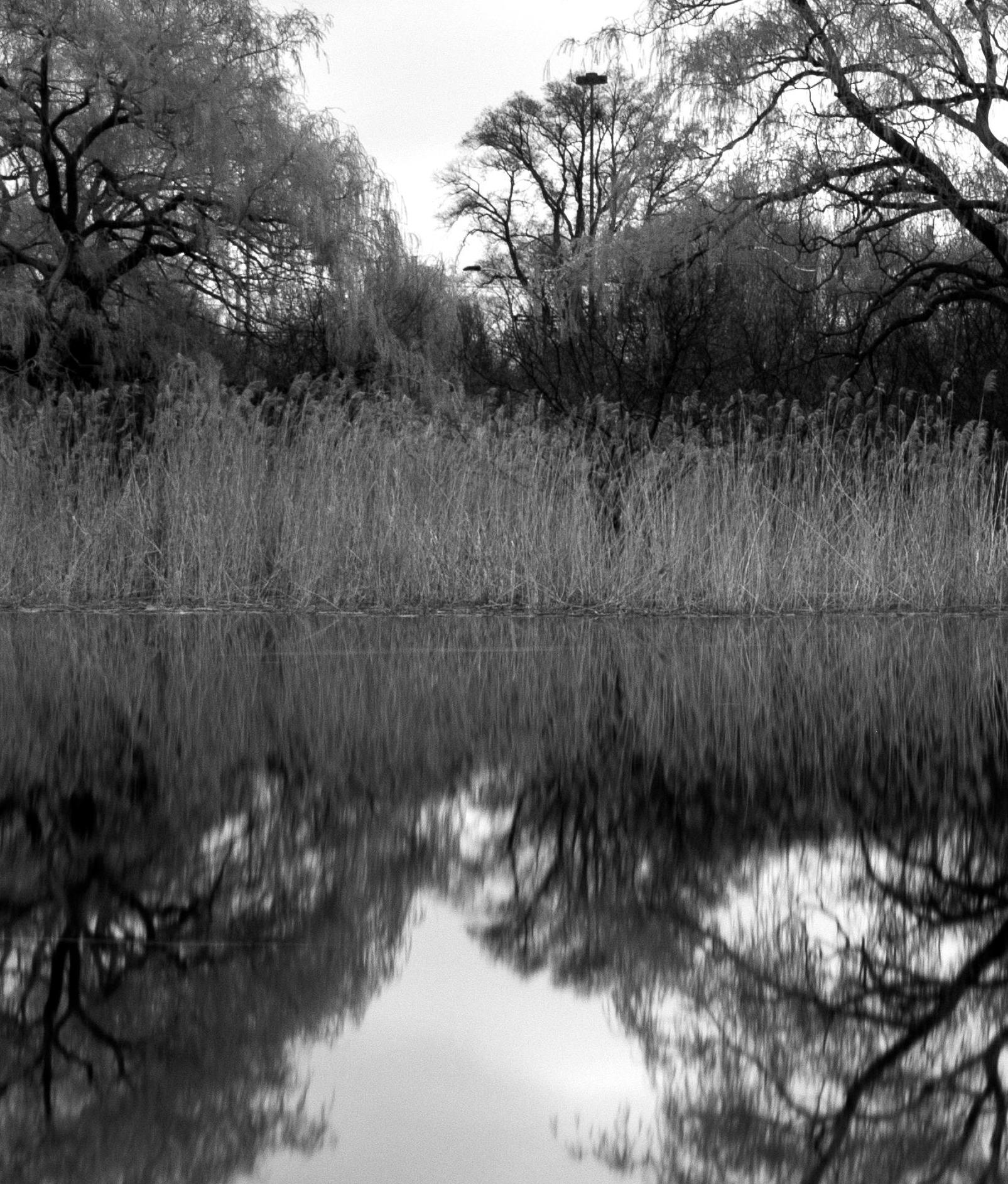 „Grenadier Teich“, signierter archivtauglicher Pigmentdruck (Schwarz), Landscape Photograph, von Rick Bogacz