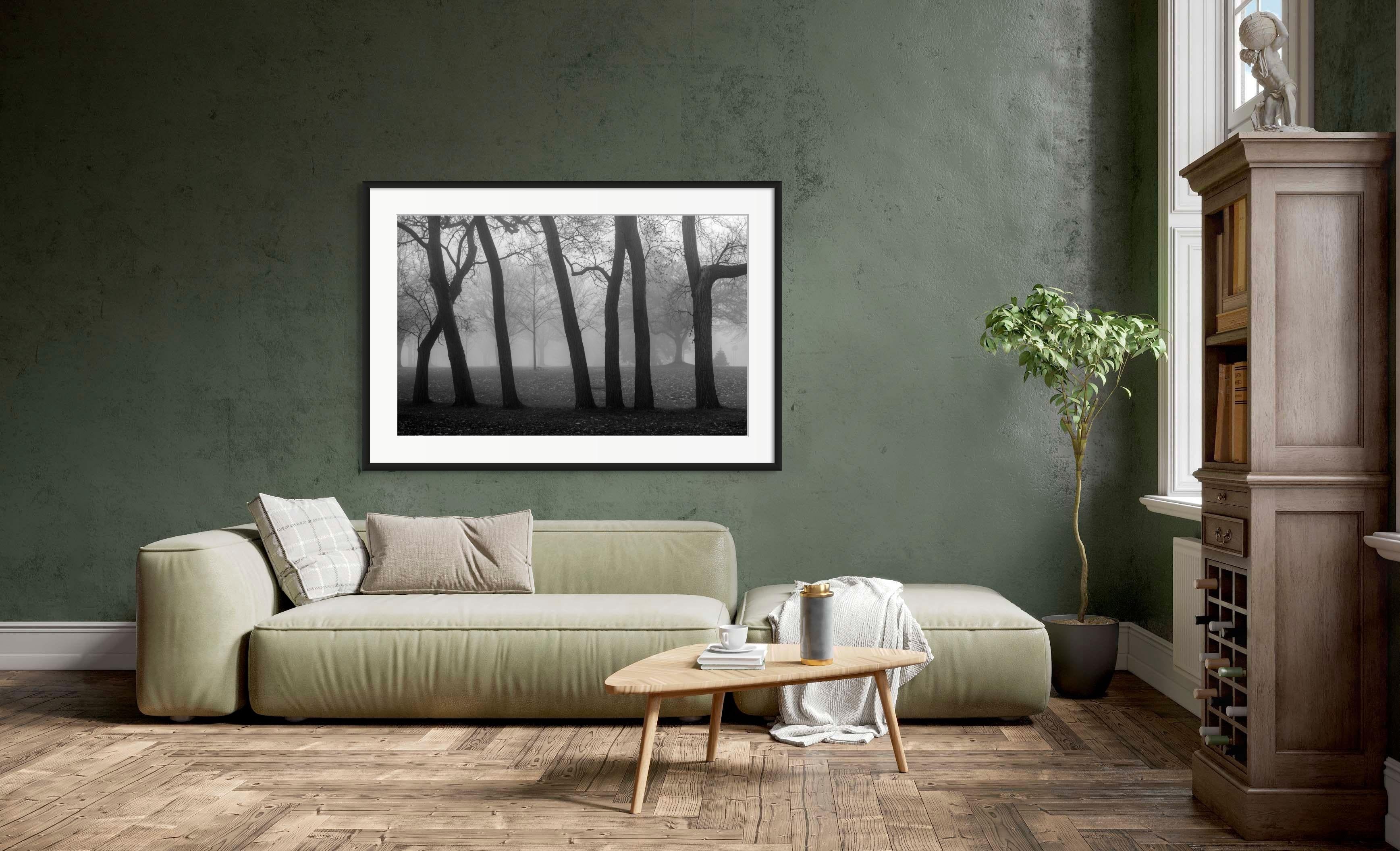 „The Dark Forest“, signierter archivtauglicher Pigmentdruck – Photograph von Rick Bogacz