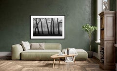 "The Dark Forest", signed archival pigment print
