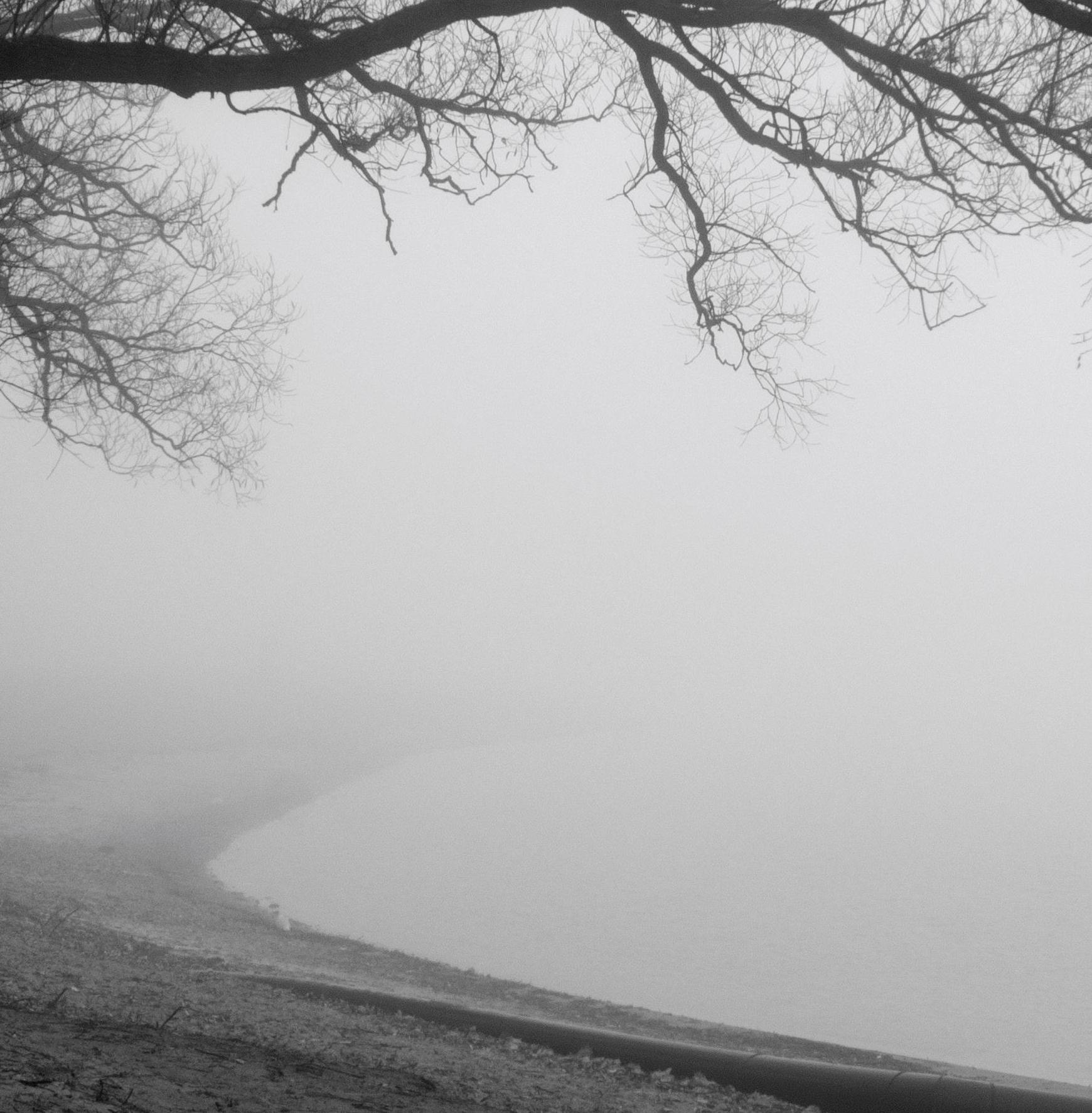 „Tree and Fog Near Sunnyside Beach“, signierter archivtauglicher Pigmentdruck (Zeitgenössisch), Photograph, von Rick Bogacz