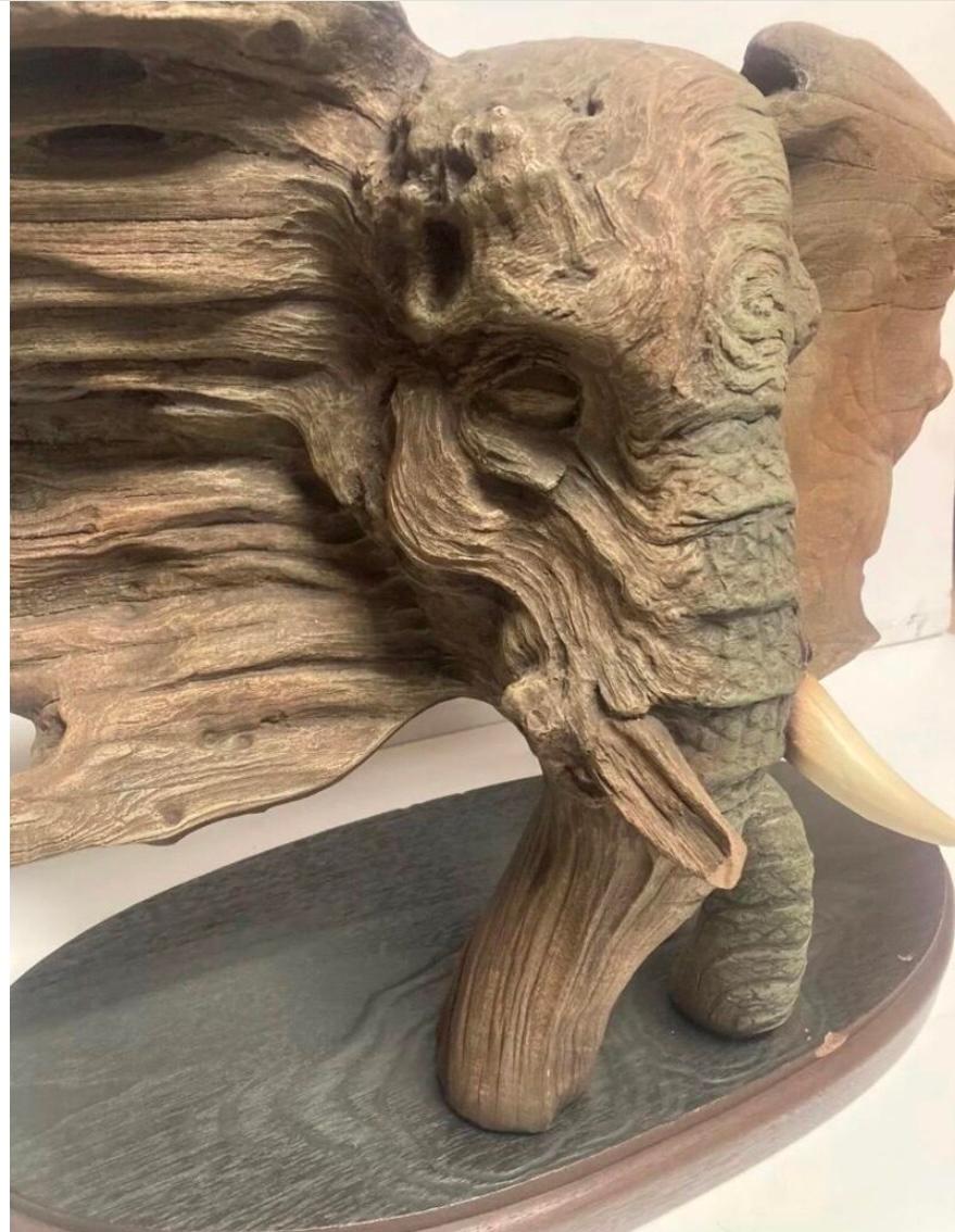 “The elder” 1