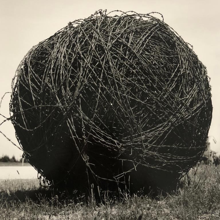 Rick Chapman Figurative Photograph – Barbed-Draht, Kansas