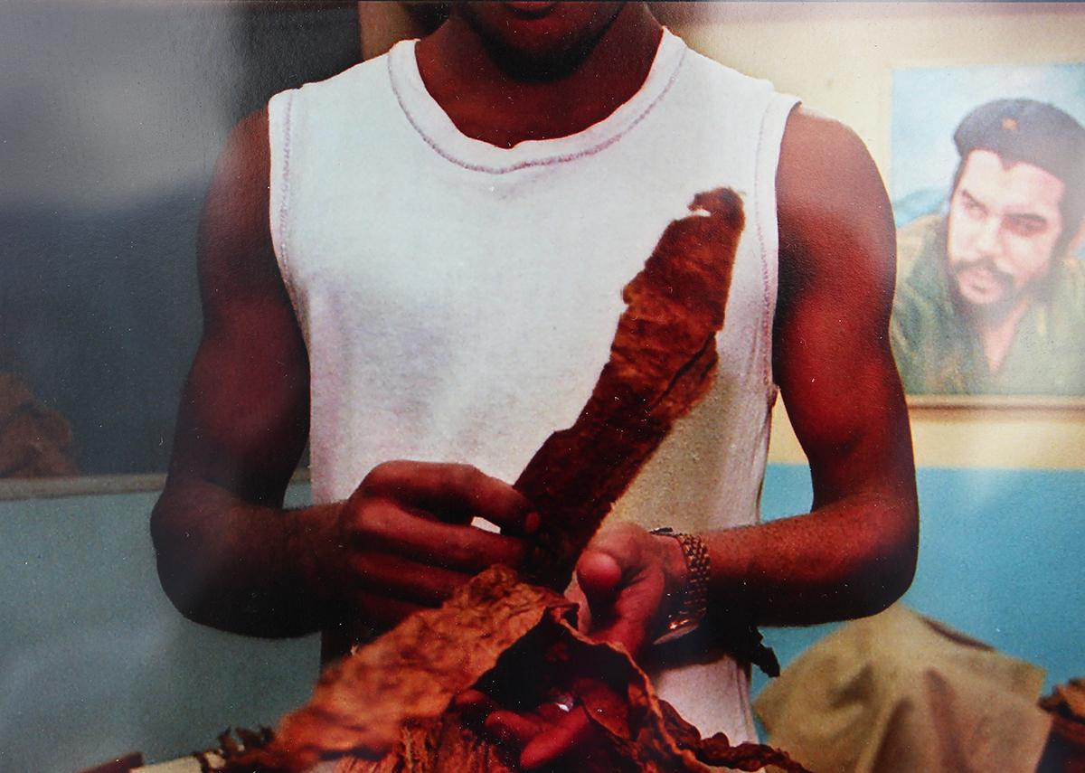 Havana, Cuba Daily Life Color Photograph of a Man Working with Cigar Wraps 6