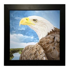 Aquila Au Sable - Ritratto fotorealistico di un'aquila calva femmina, con cornice