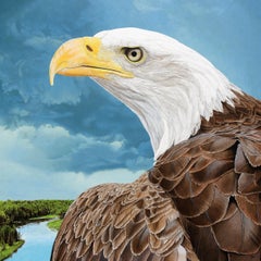 Au Sable Eagle - Retrato fotorrealista de un águila calva hembra, enmarcado