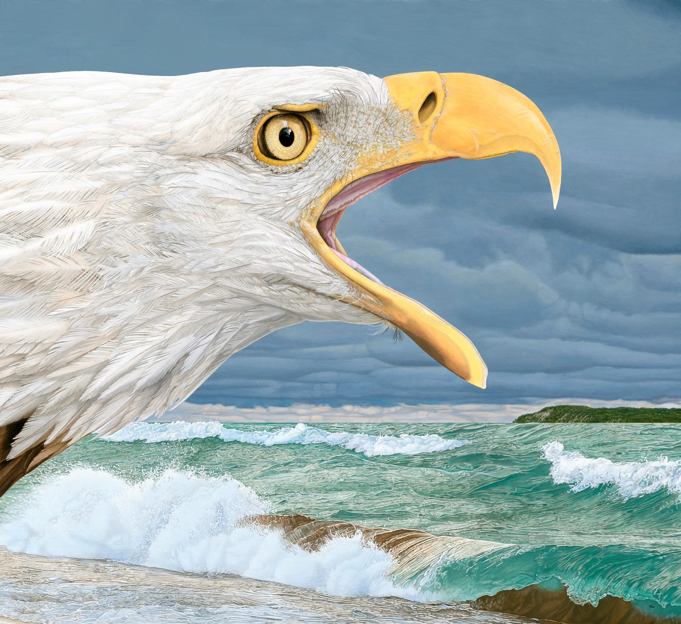 Calls in the Manitou Passage - Peinture photoréaliste d'une Screeching d'aigle Bald Eagle - Painting de Rick Pas