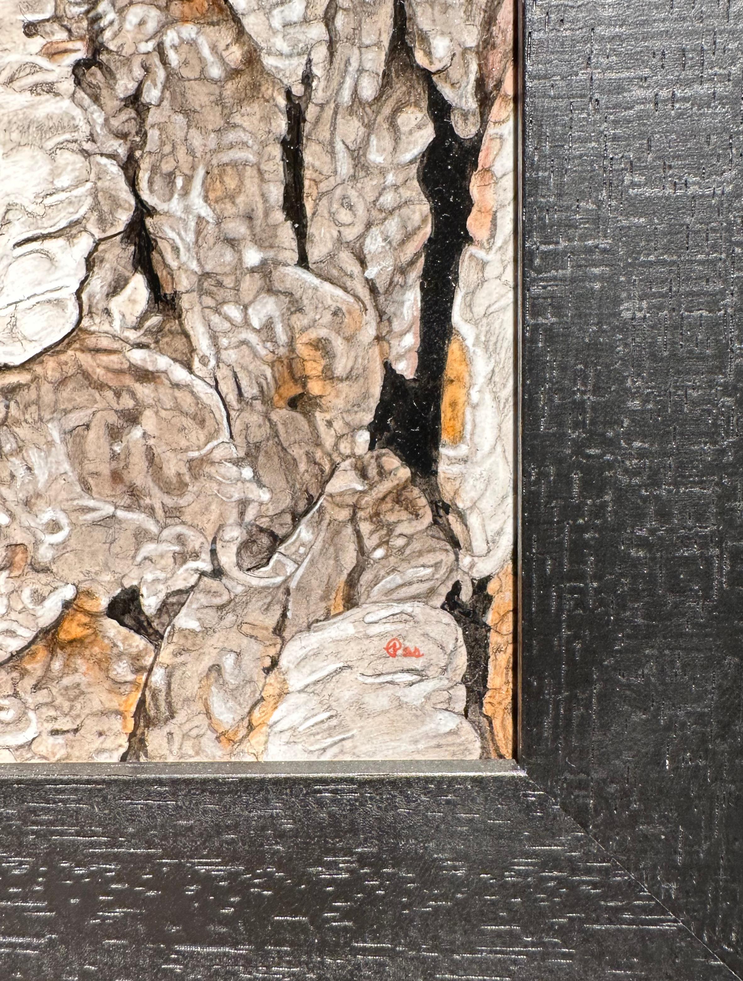 Cecropia Moth on Tree Bark - Life-Like Original Acrylic Painting, Framed in vendita 5