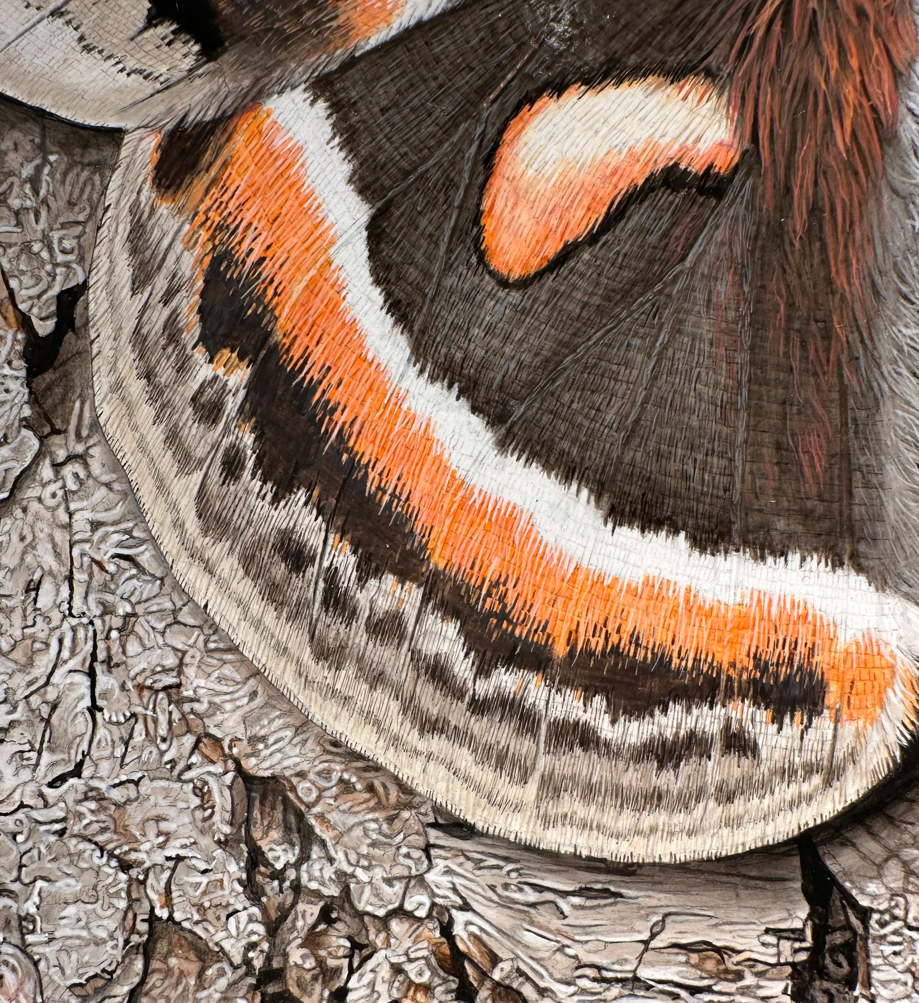 Cecropia Moth on Tree Bark - Life-Like Original Acrylic Painting, Framed in vendita 6