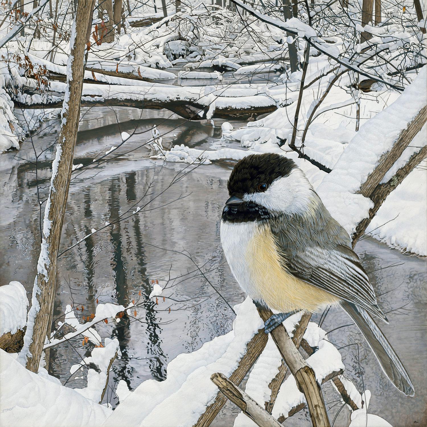 Rick Pas Animal Painting - Chickadee at Hasler Creek - Photorealistic Painting of Bird in a Winter Scene