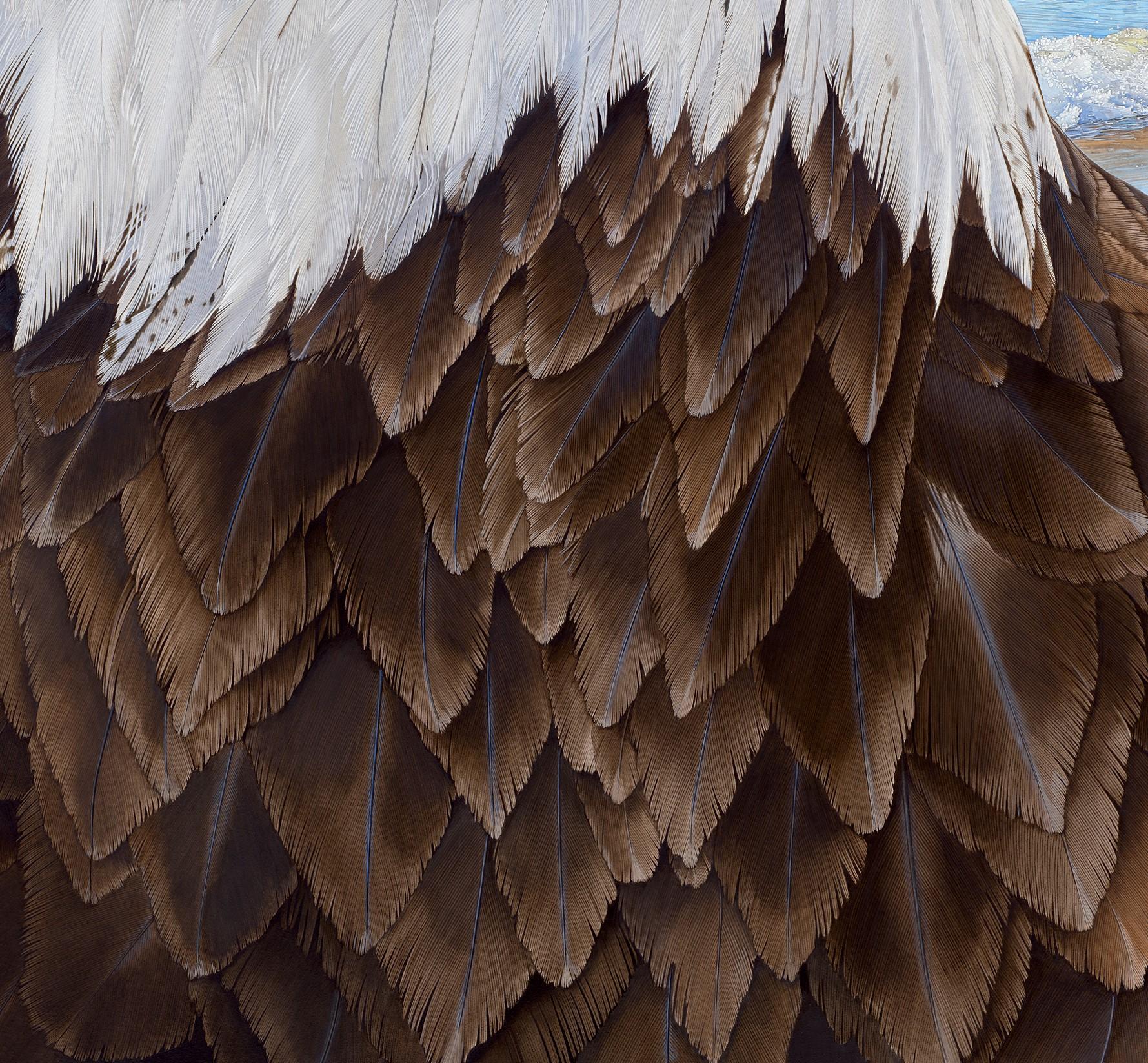 female american eagle