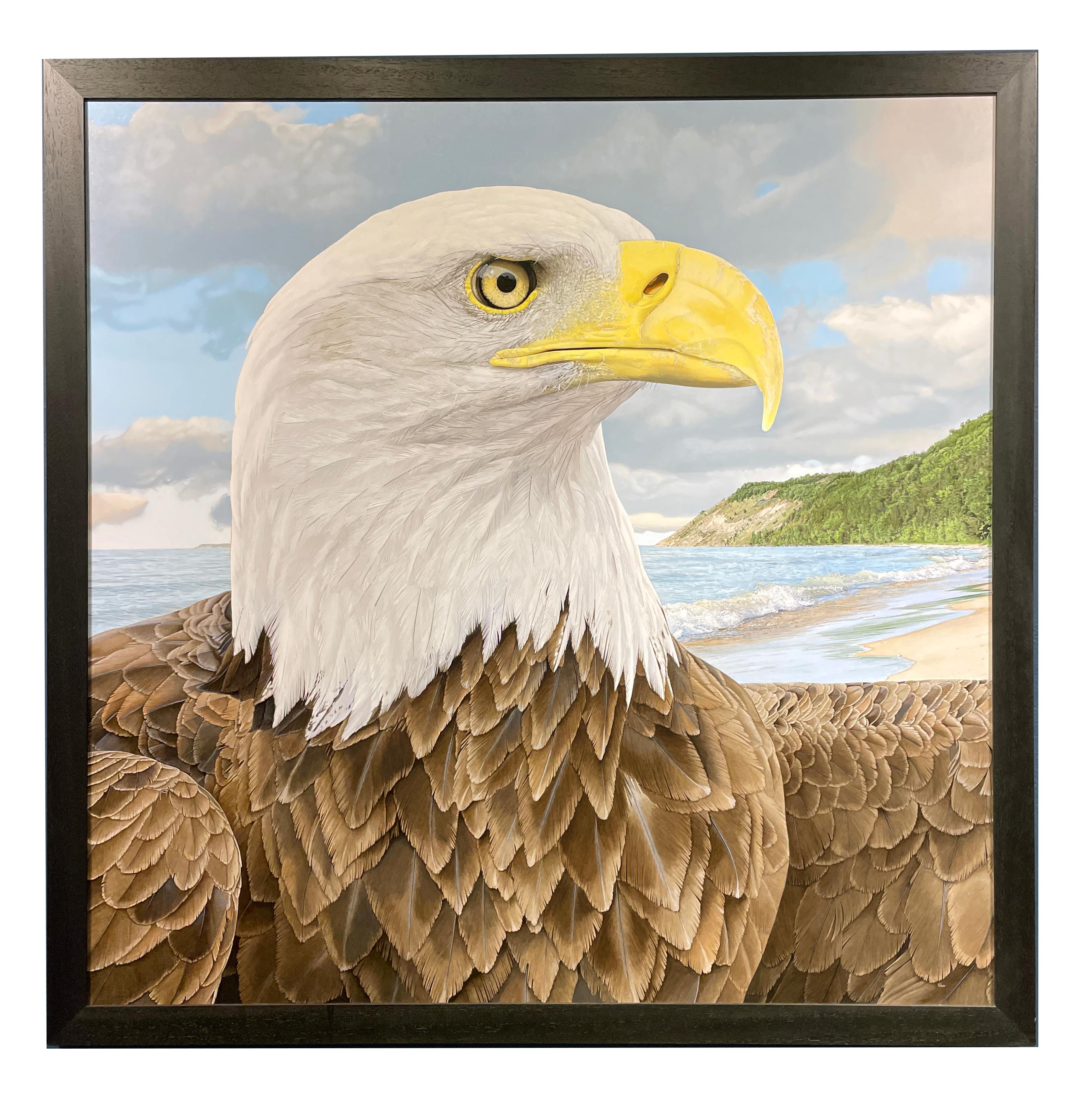Traditional portrait painting takes a twist when the subject is a majestic bald eagle.  Artist Rick Pas delivers an extraordinarily realistic detailed portrait that almost feels tangible, tactile, as though the viewer can run their fingers through