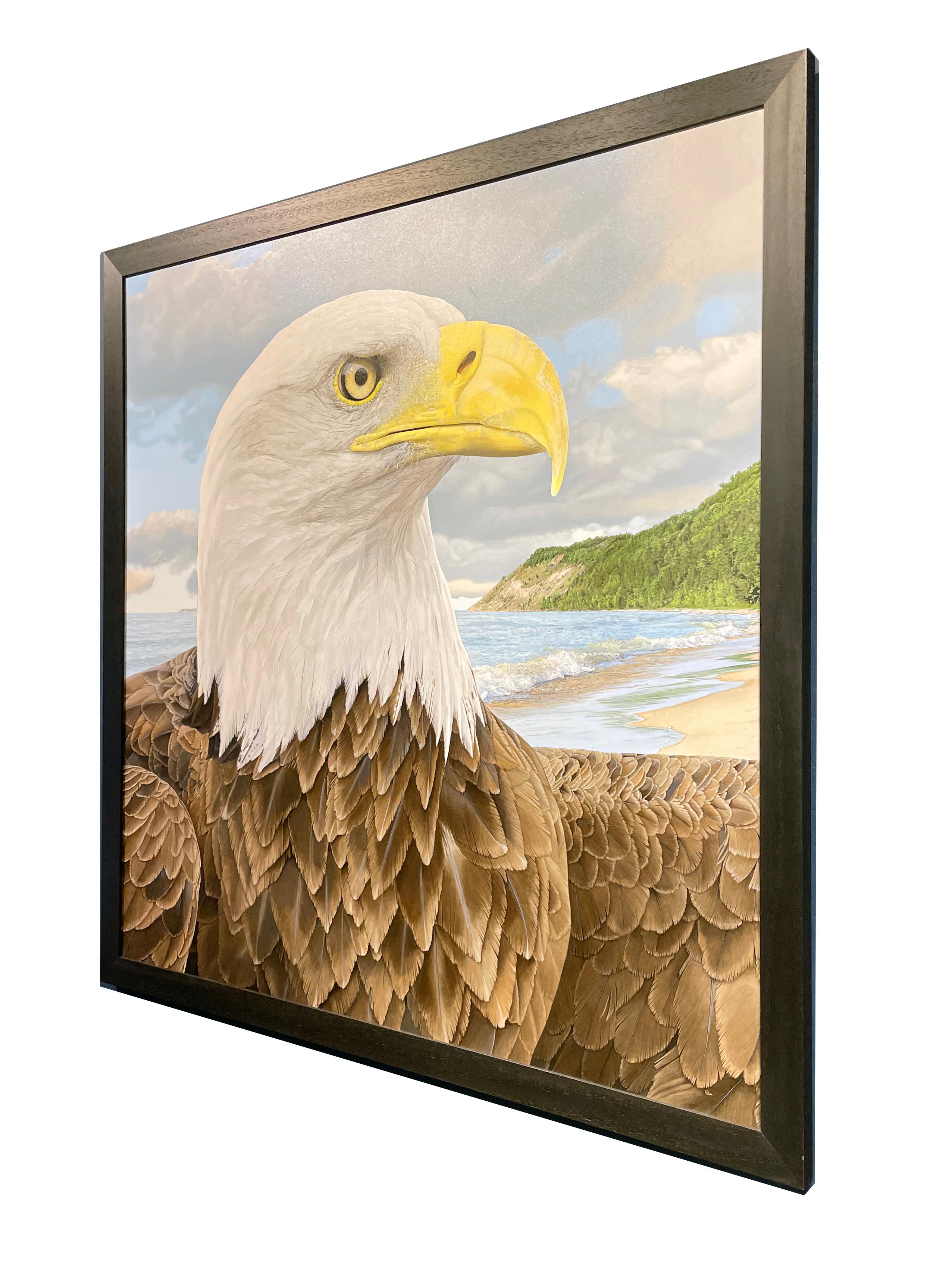 Eagle at Empire Bluff - Photorealistic Portrait of a Female Bald Eagle, Framed 2