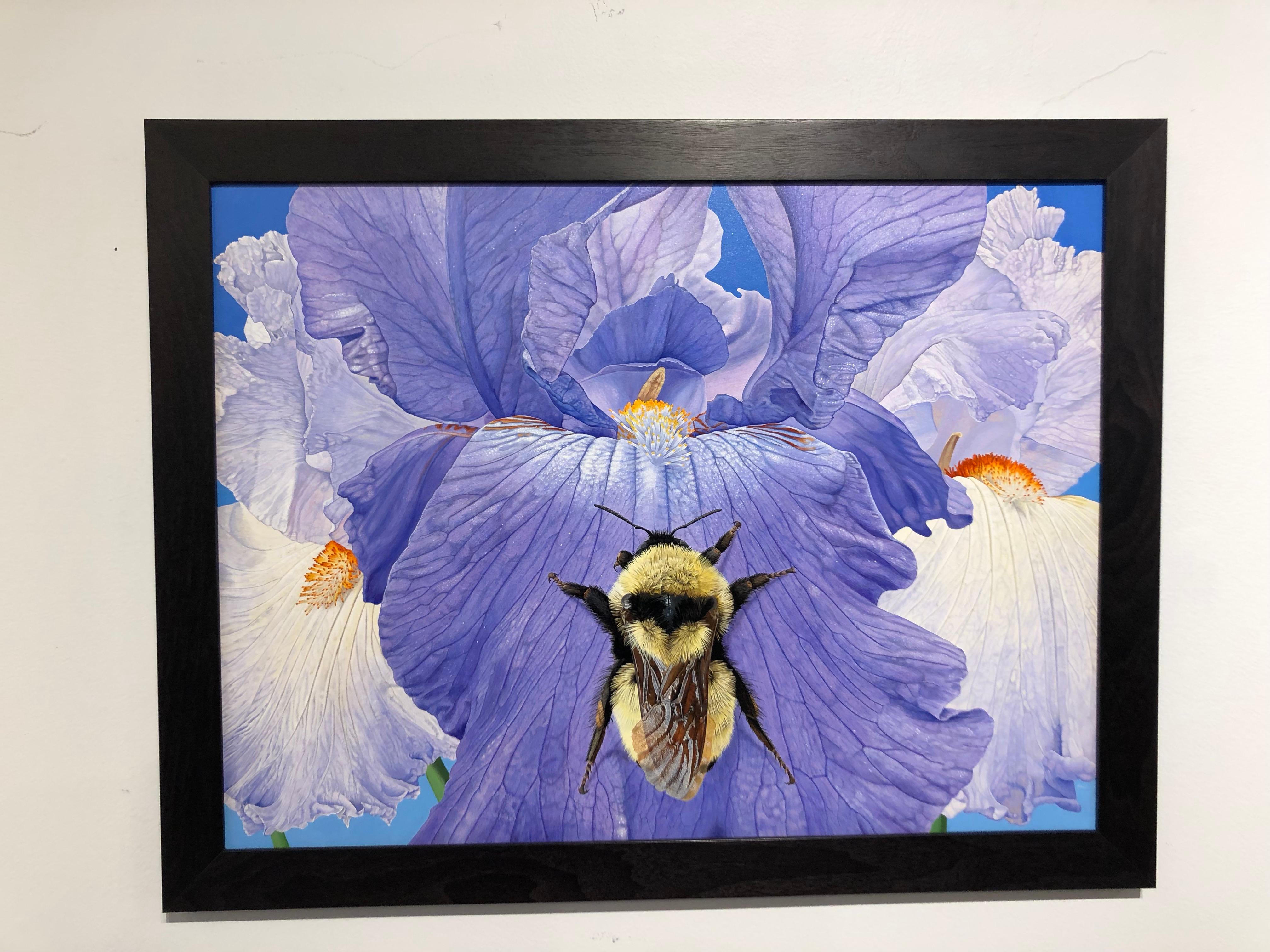 Iris mit Hummel - Hochdetaillierte fotorealistische Nahaufnahmen der Natur – Painting von Rick Pas